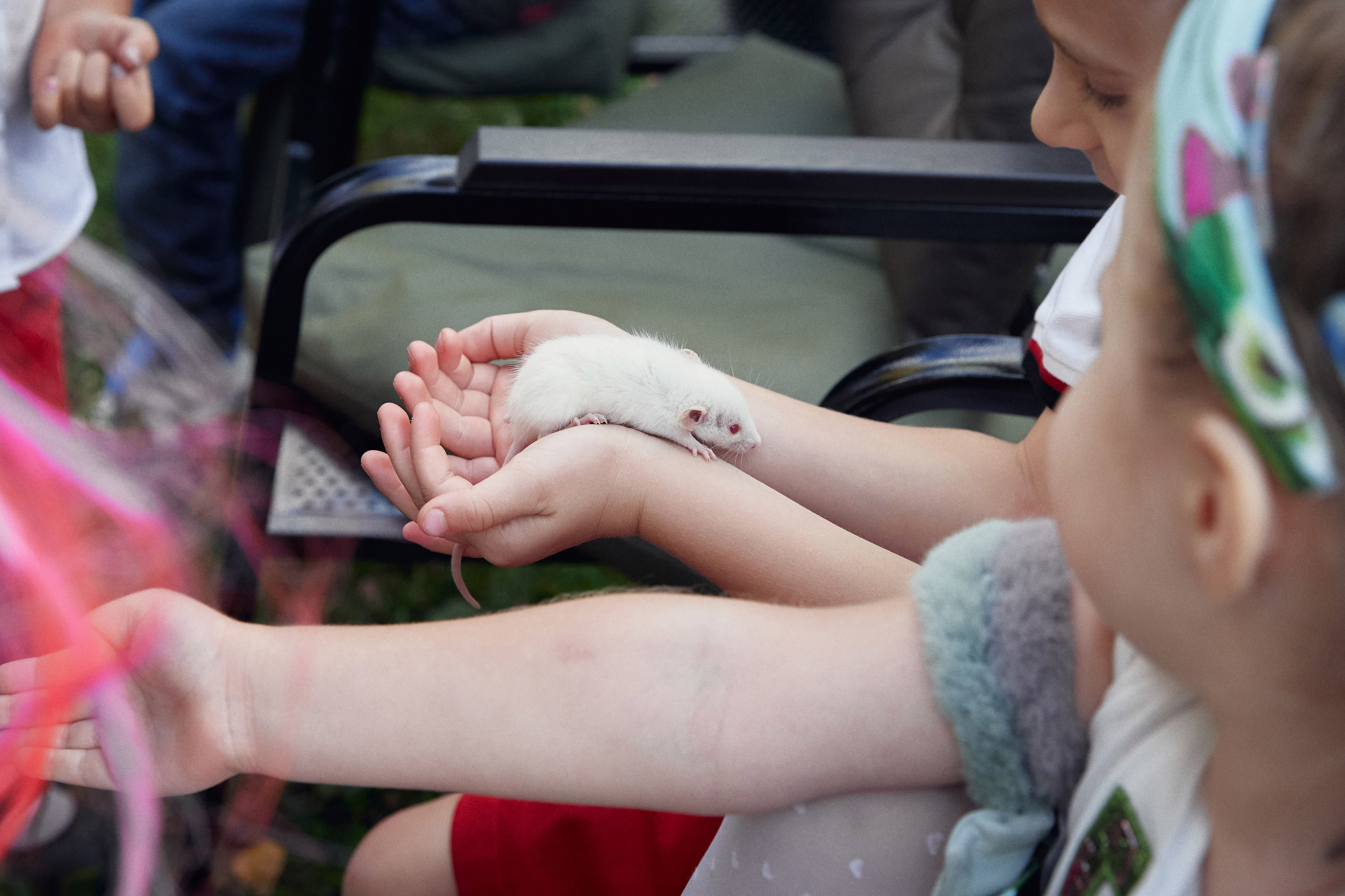 Репортажная съёмка. Главная