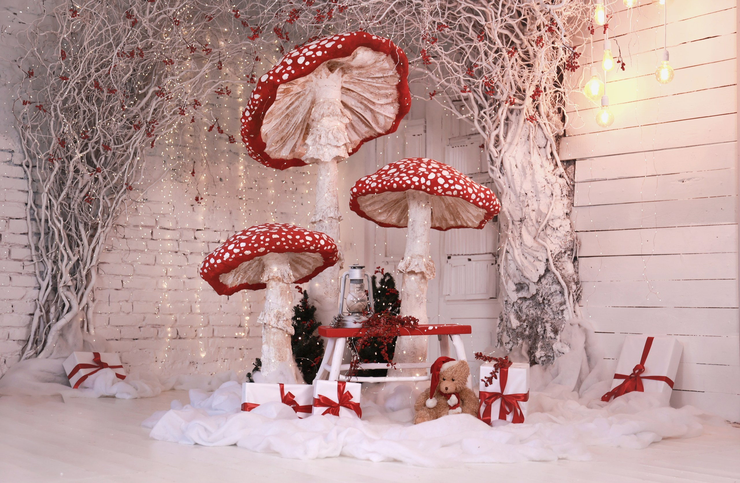 Новогодние декорации сказочной фотостудии «Alice», город Краснодар. Семейный и детский фотограф в Краснодаре Анна Трашкова