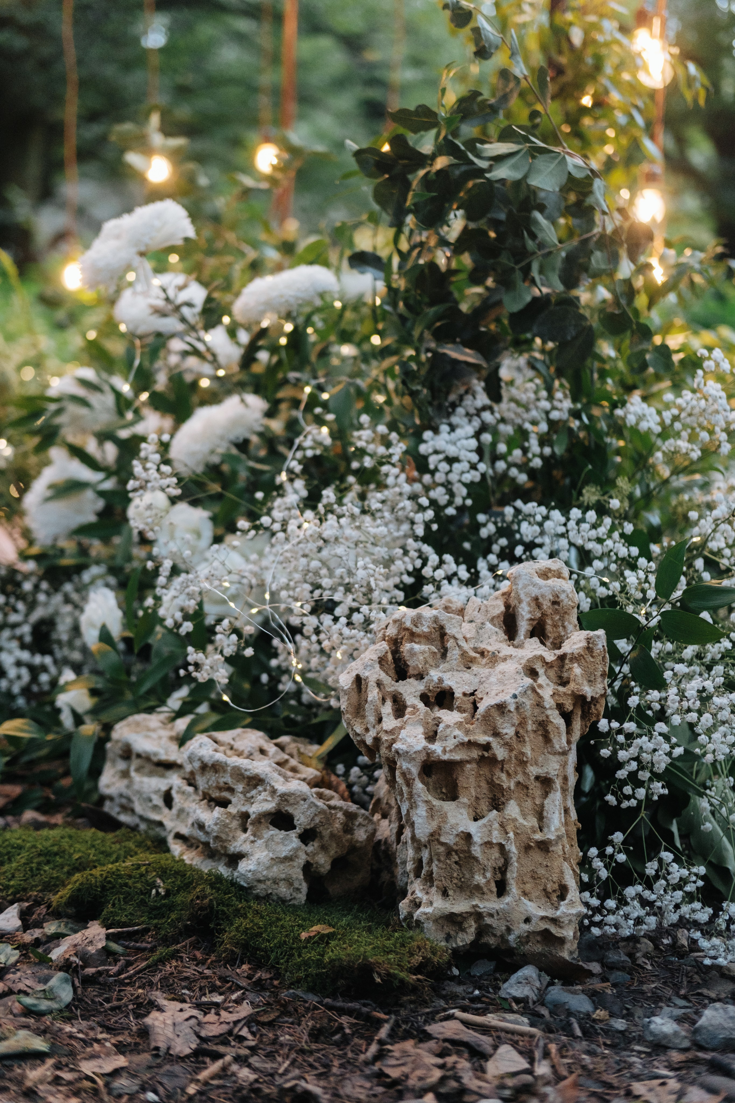 Кот и Дракон. Свадебный Видеограф Фотограф в Сочи