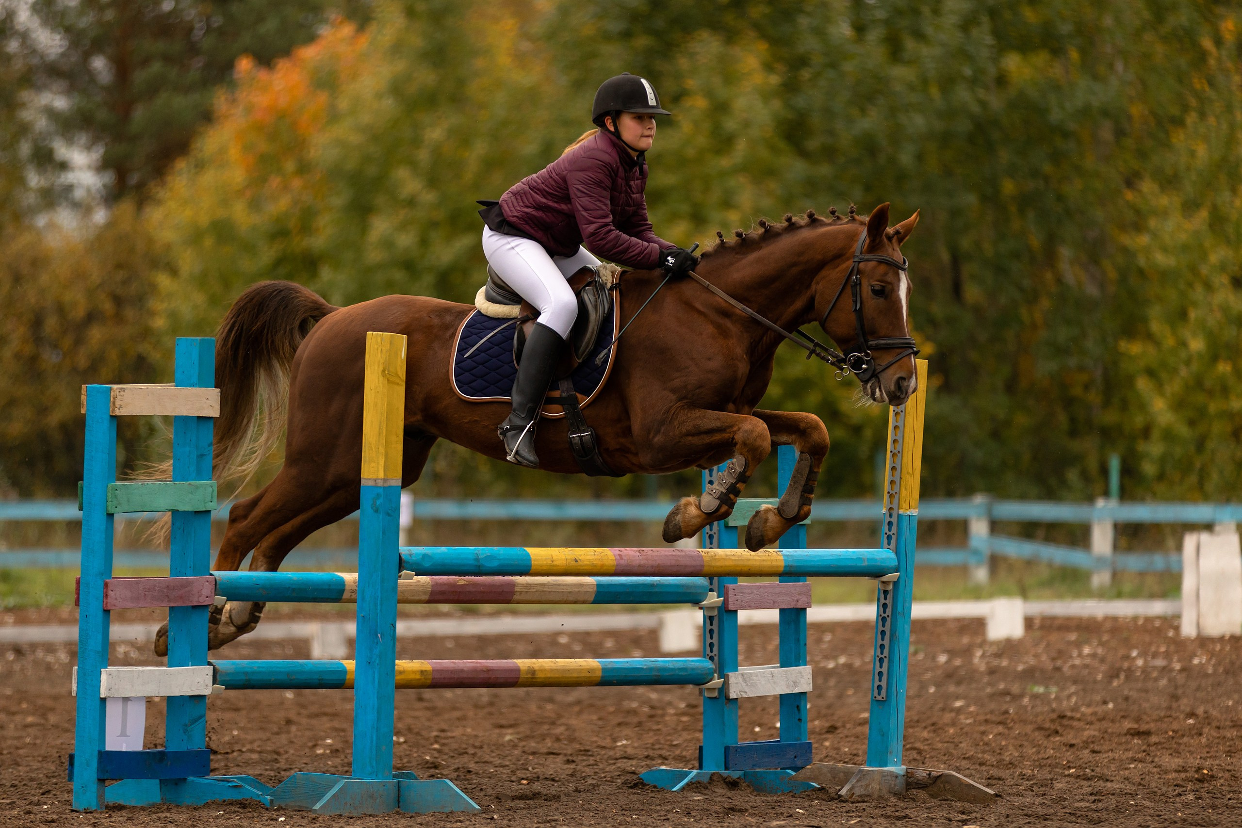 Соревнования по конному спорту. Конный фотограф Валынкина Лера
