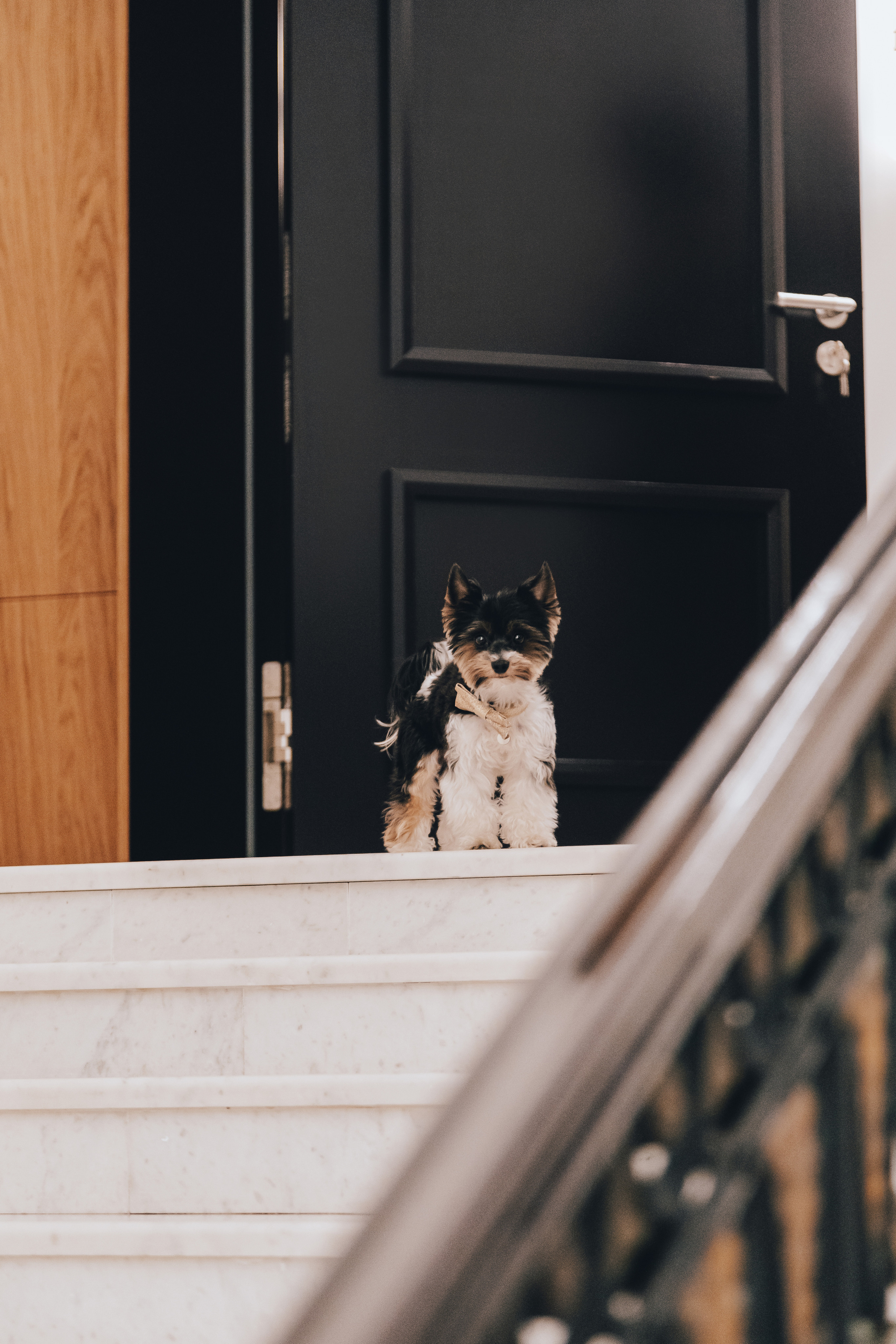 Свадьба Валерии. Главная