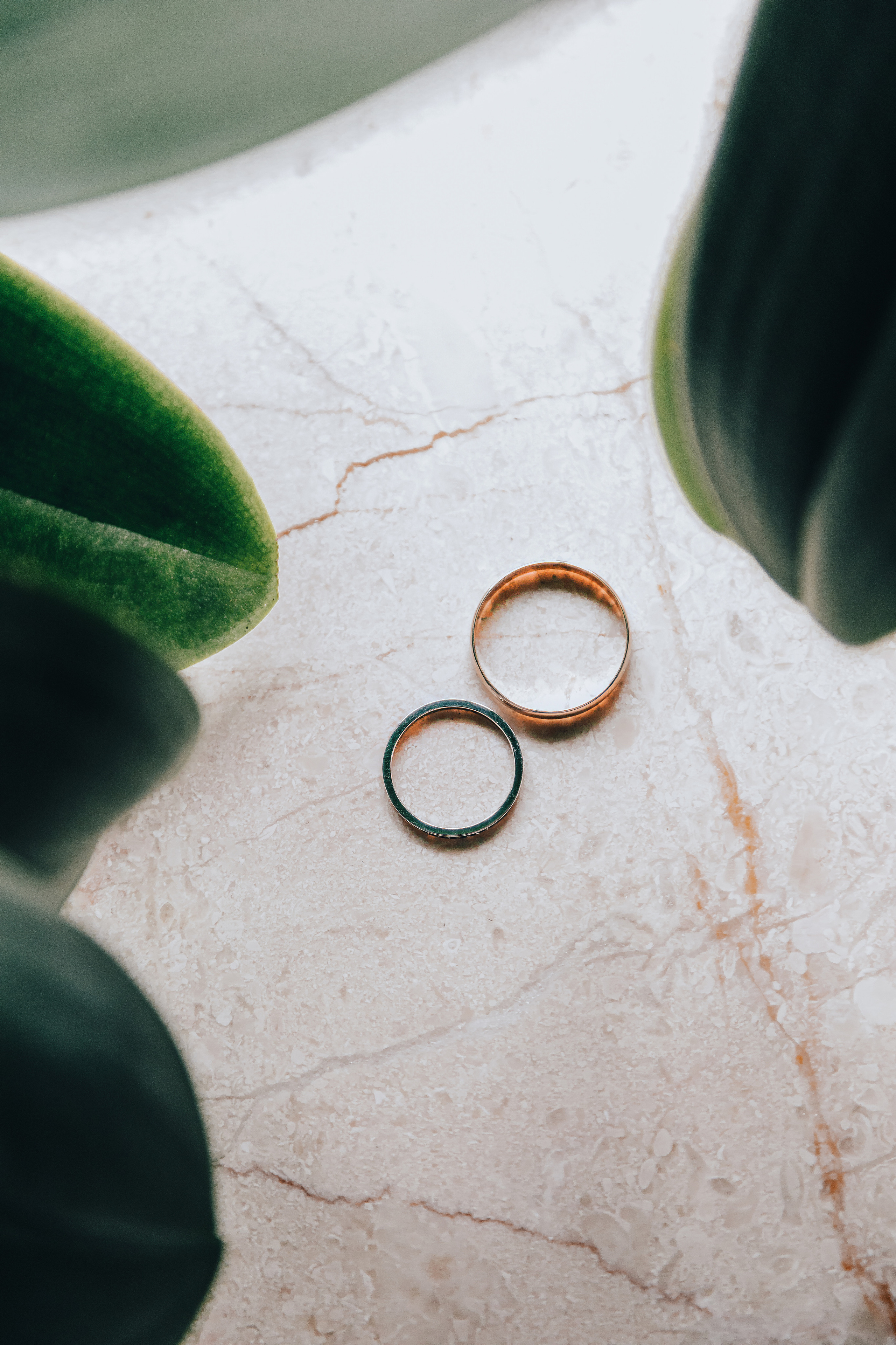 Свадьба Валерии. Главная