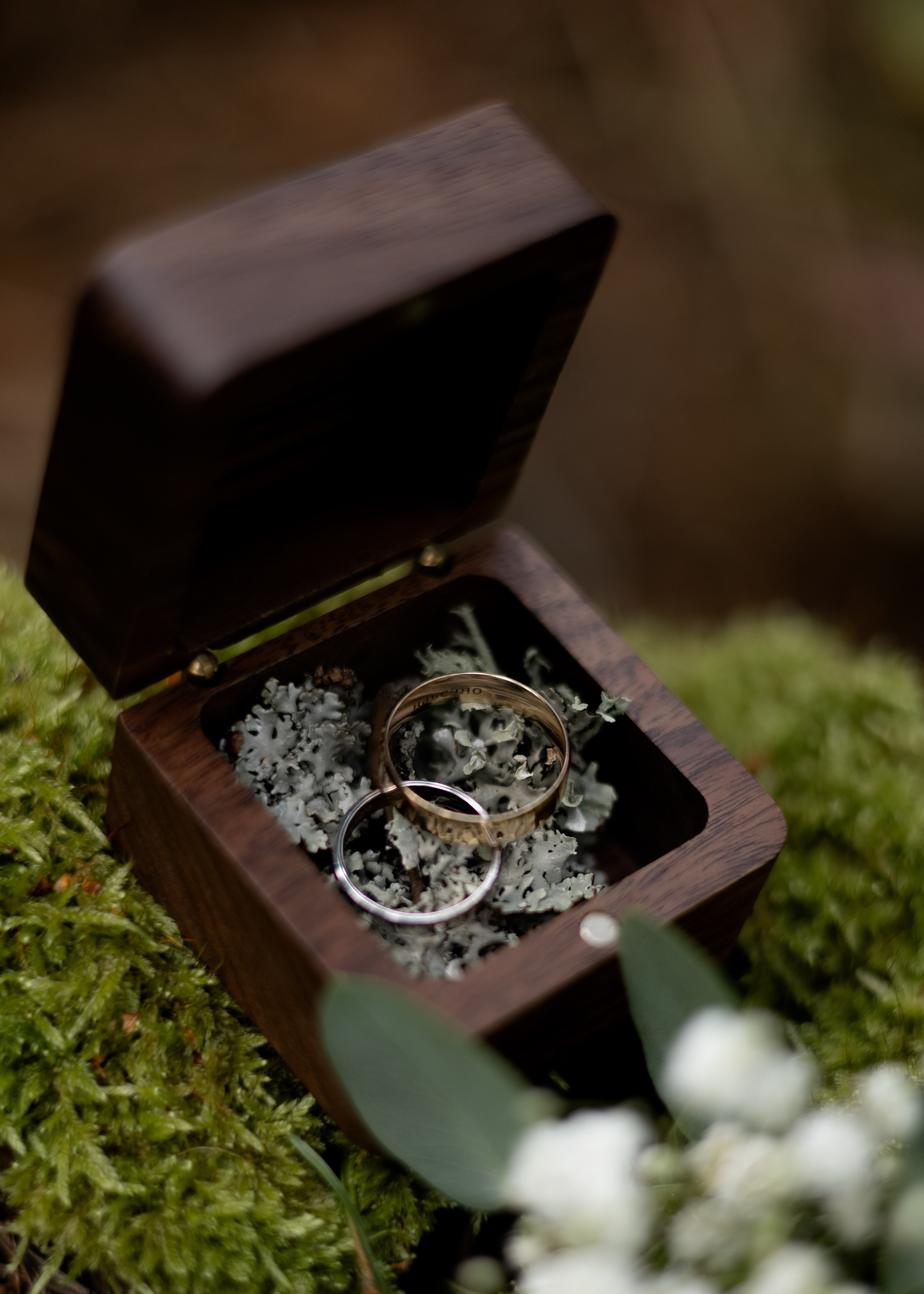 Денис & Дарья | в лесу. Фотограф в Калининграде Сокирко Светлана