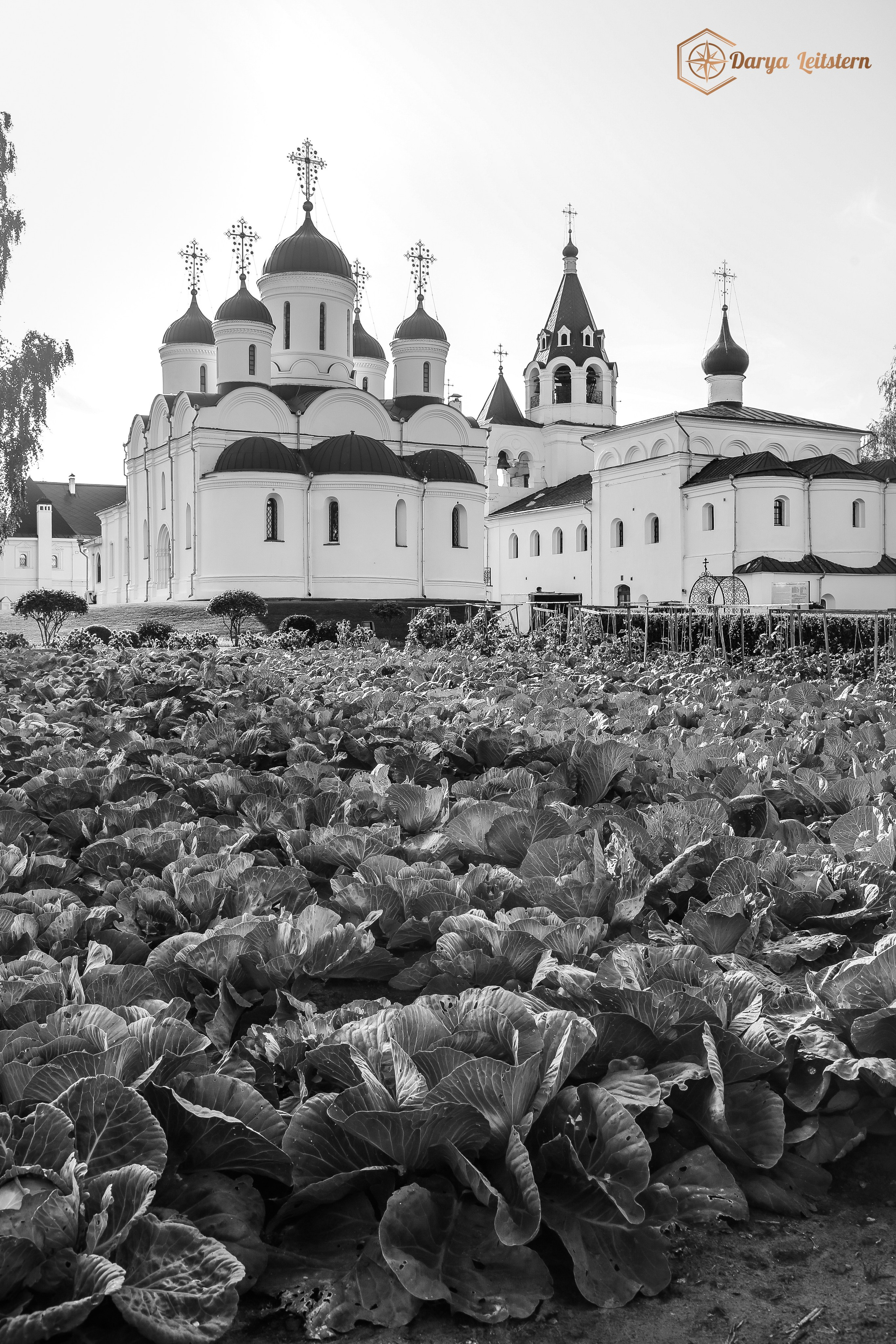 Фотографии из путешествий по разным странам. Дарья Письменюк / Darya Leitstern — фотограф, музыкант, журналист, путешественник