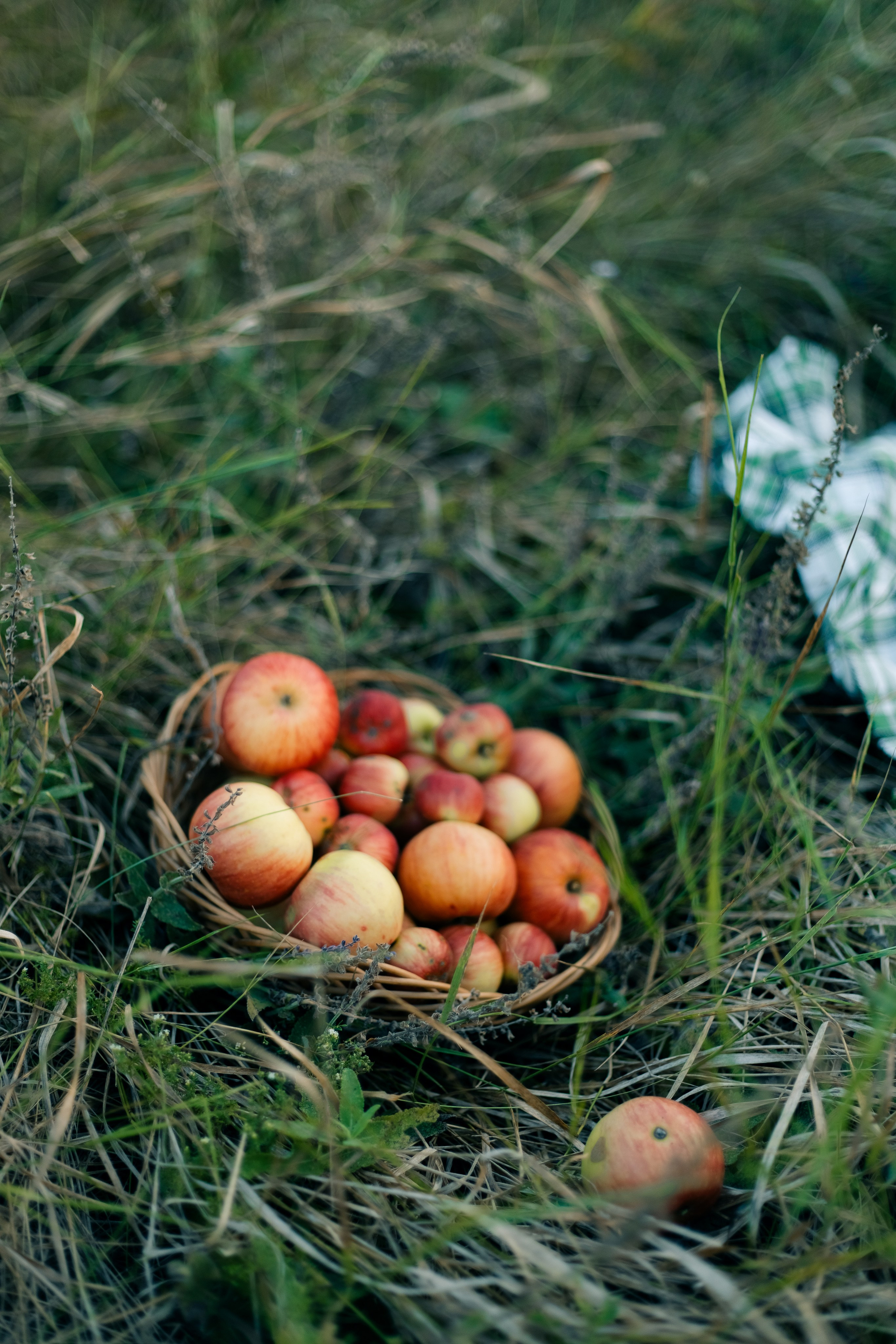 Фотограф Тихорецк. Свадебный и семейный фотограф в Краснодарском крае Мария Данилкина