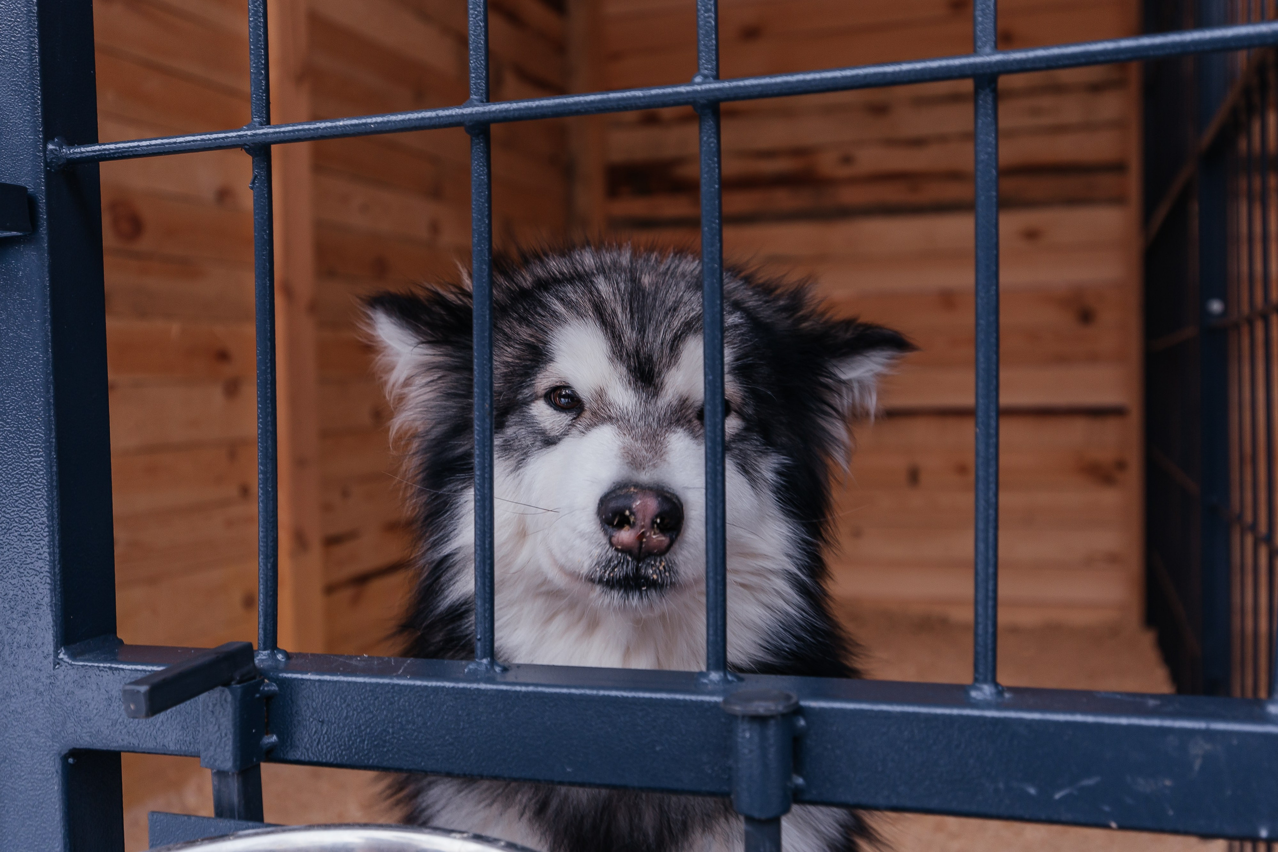 Jaecoo J7 6.0. Фотограф в Самаре / Олеся Широнина