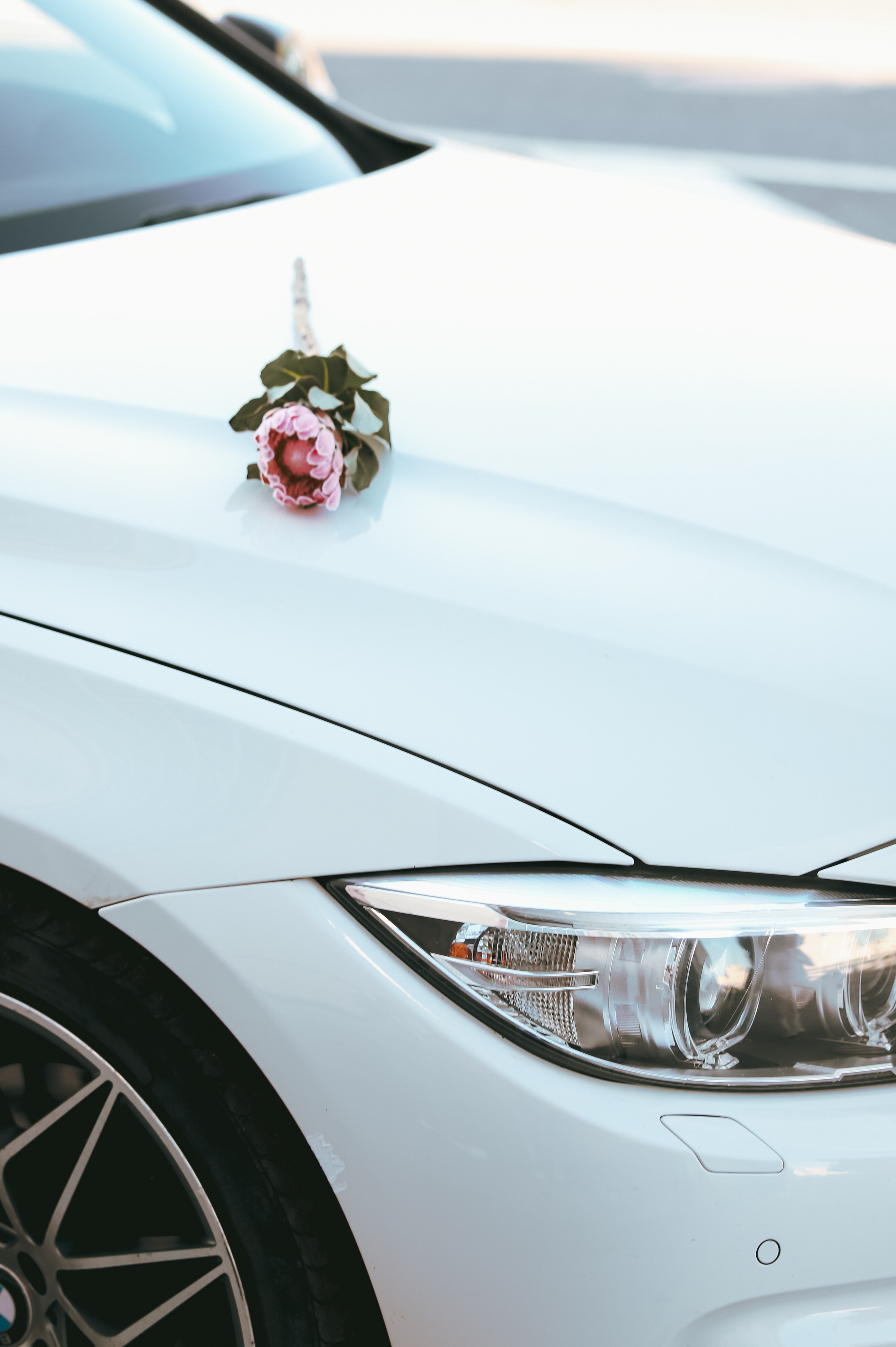 Никита и Алина. Фотограф Москва и МО Анастасия Пясковская