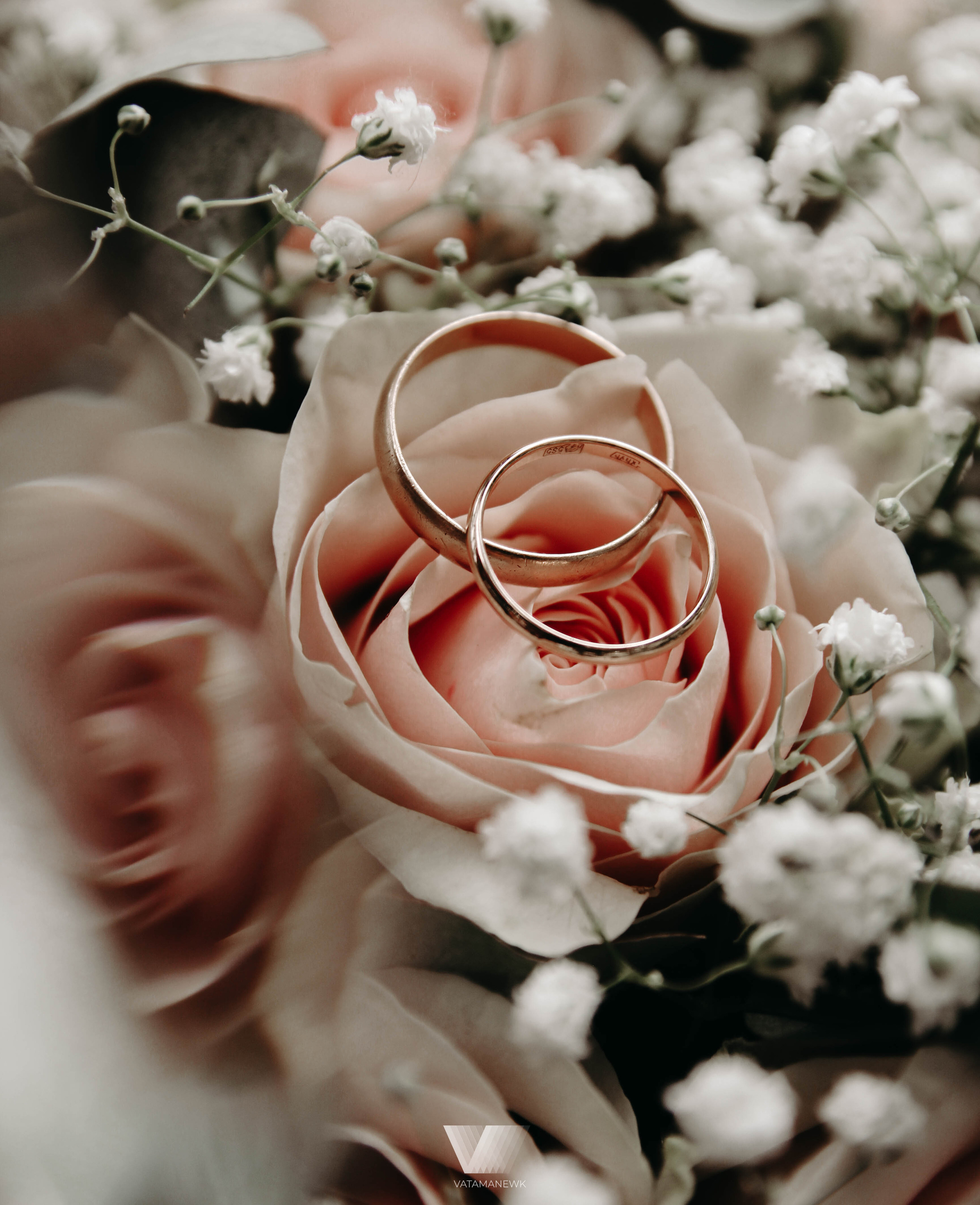 Эмоции ветра. Фото | Видео Контент Мишель Ватаманюк