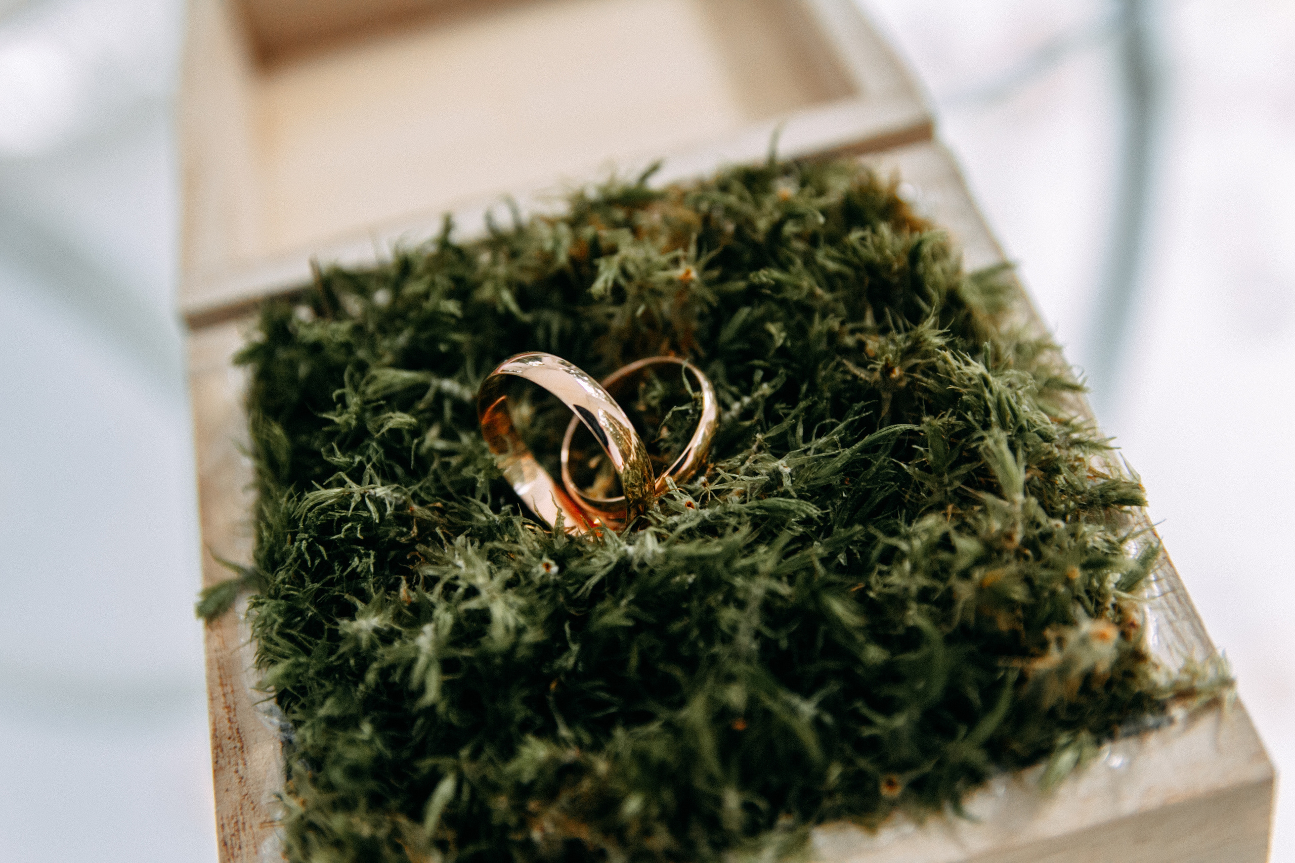 Взгляд в небо. Фото | Видео Контент Мишель Ватаманюк