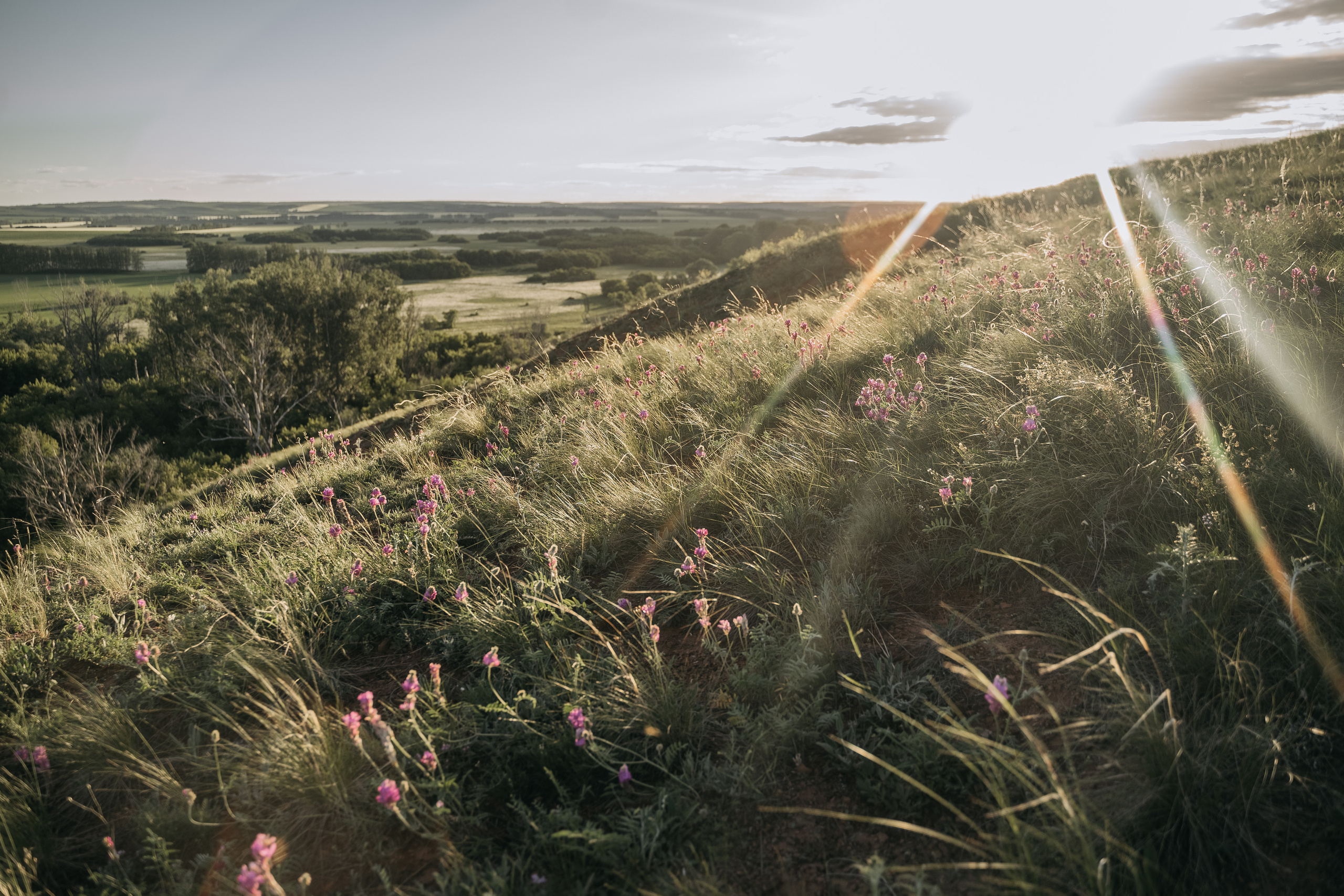 Юлия Антон Артём Егор. Свадебный семейный фотограф Ксения Божко Уфа Раевка никах в Нарыстау