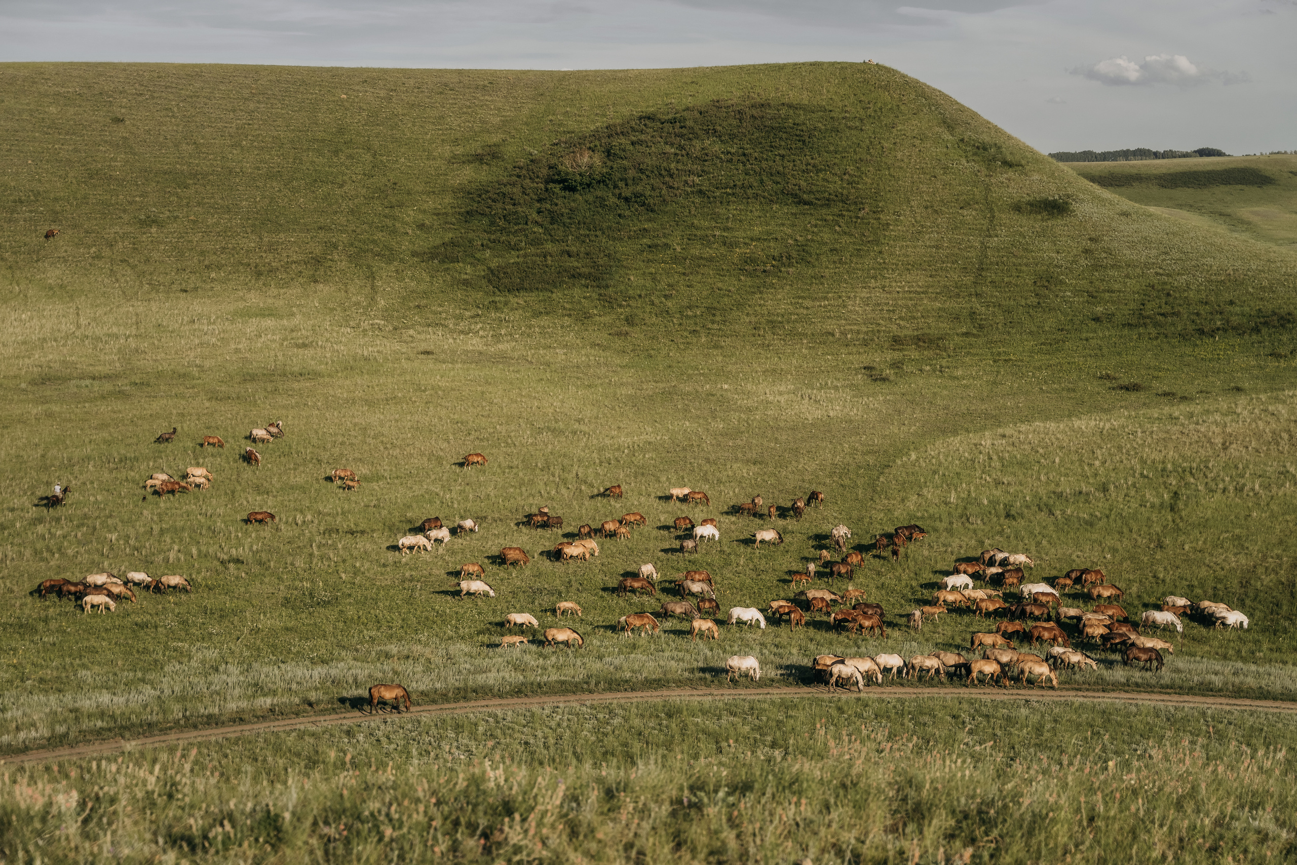 Марсель и Гузель. Свадебный семейный фотограф Ксения Божко Уфа Раевка никах в Нарыстау
