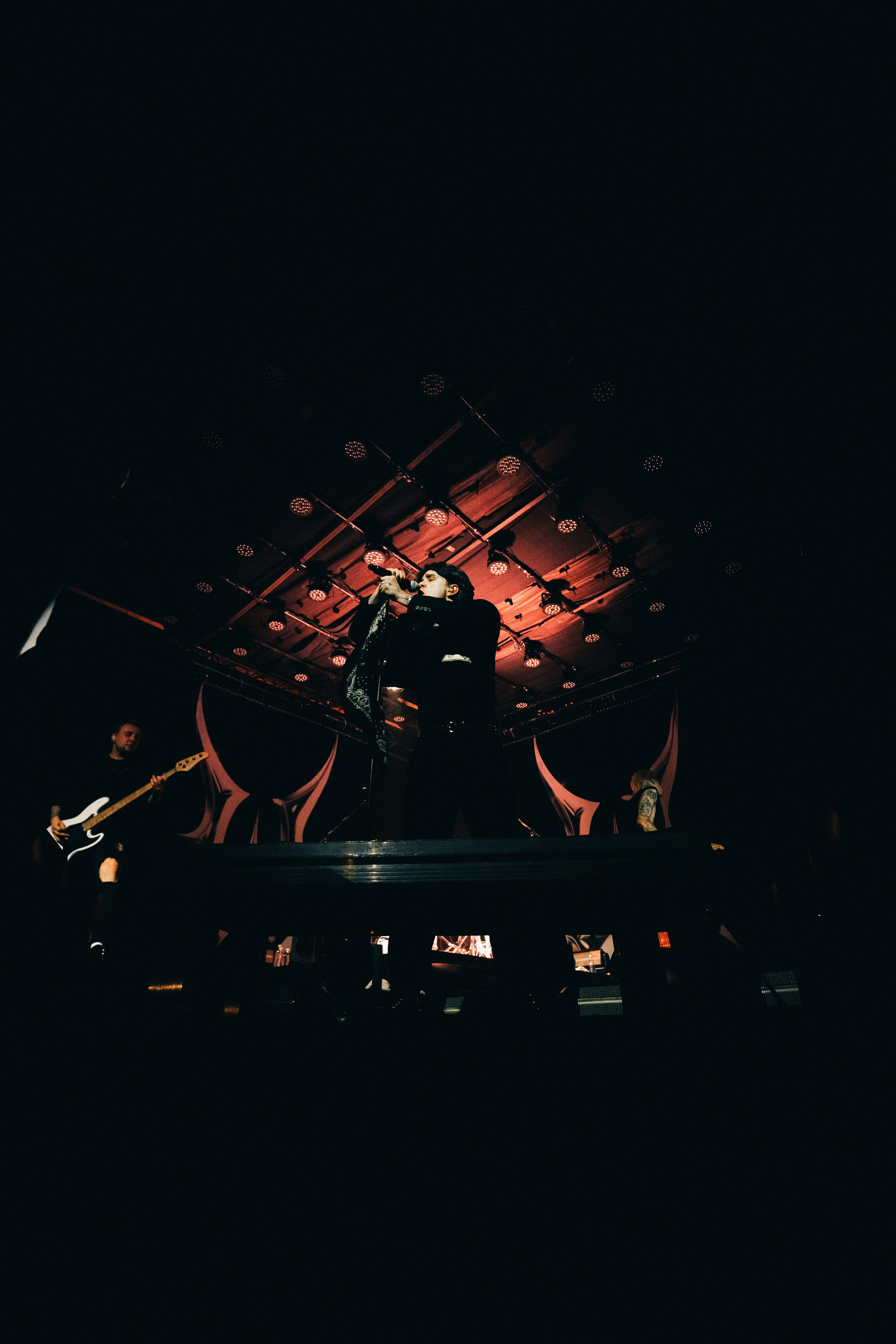 WILDWAYS. PASHAHARCE PHOTOGRAPHER & VIDEOGRAPHER