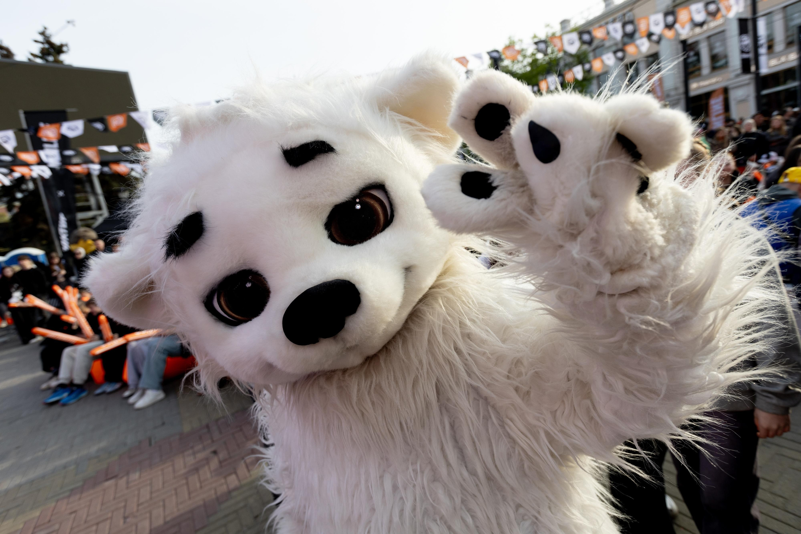 Алексей Потрехалов. Маскот хоккейного клуба «Трактор». Репортажный фотограф Наталья Лапцевич