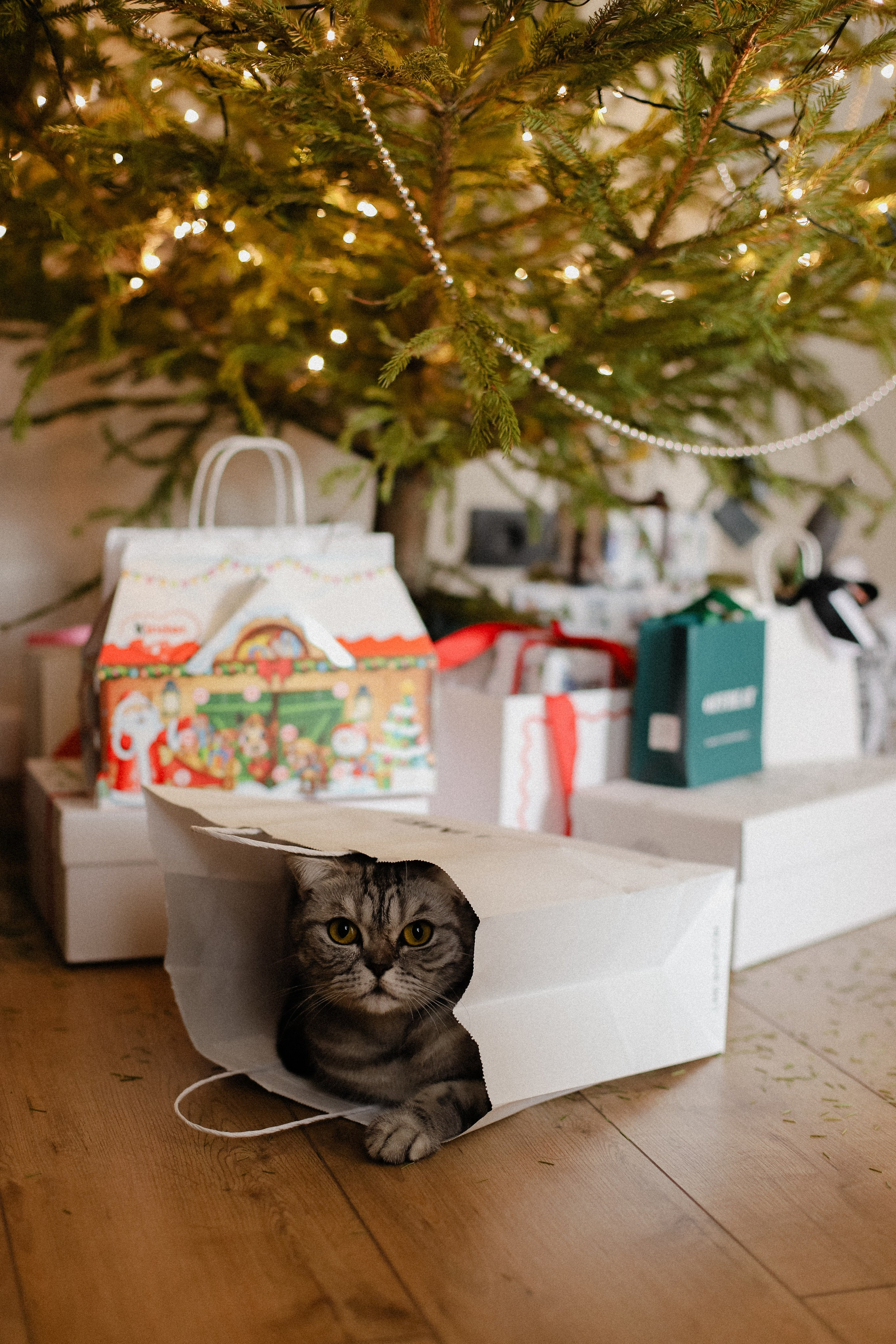 Завтрак и кофе. Фотограф в Алматы и Москве Даша Пушкина