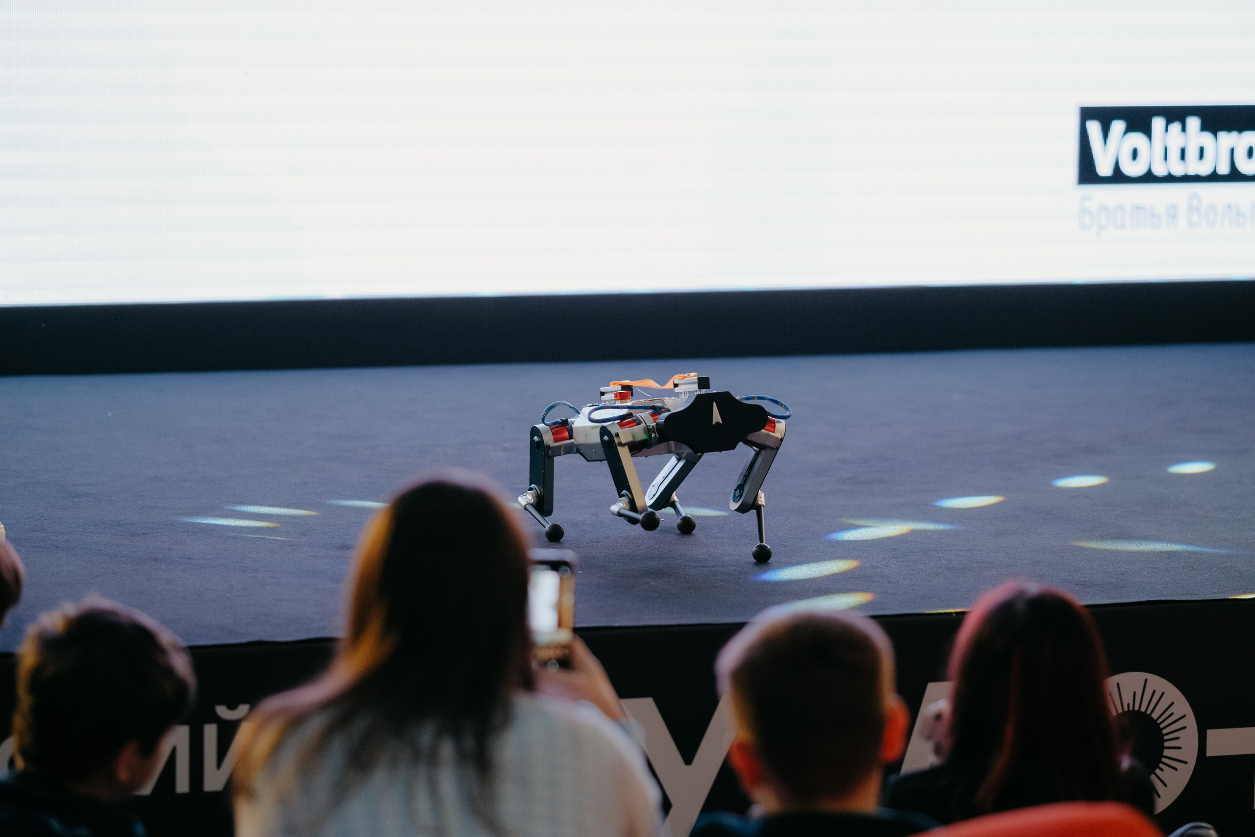 Наука 0+. Фотограф в Москве Дмитрий Рогов