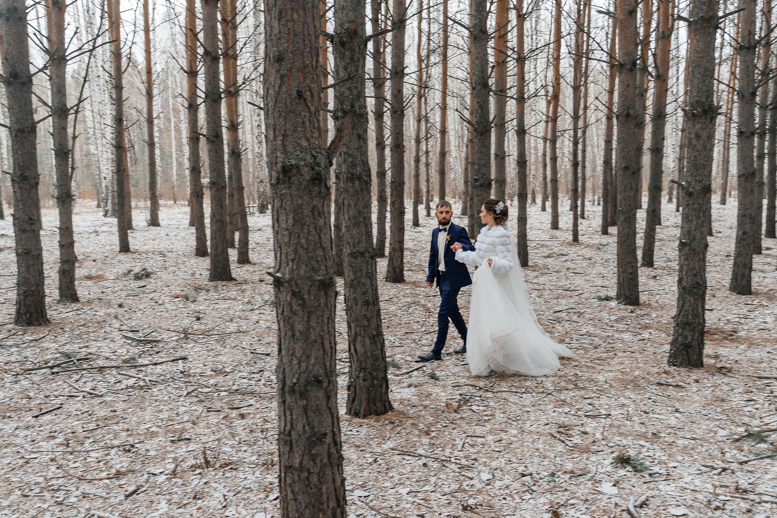Дарина и Денис. Свадебный фотограф в Новосибирске Maxfotonsk (Максим Сысолятин)