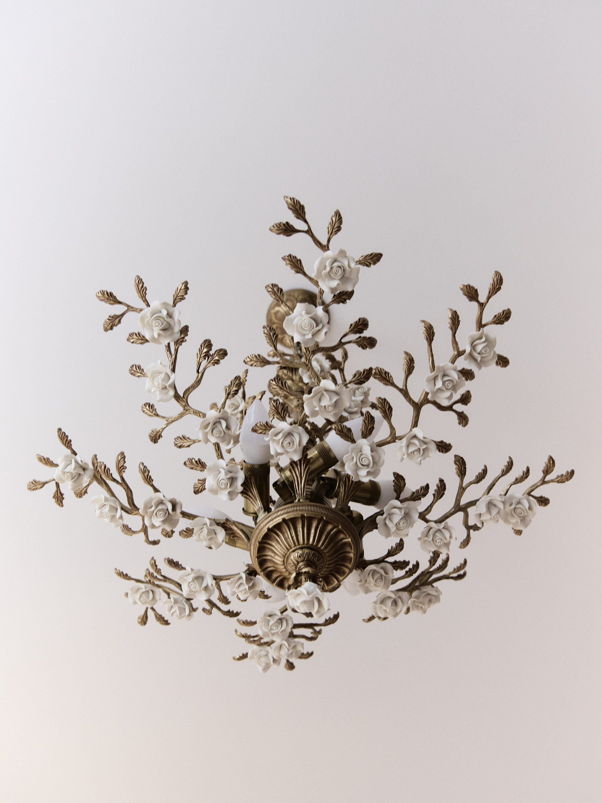 Алина и Джамбулат. Свадебный фотограф в Майкопе