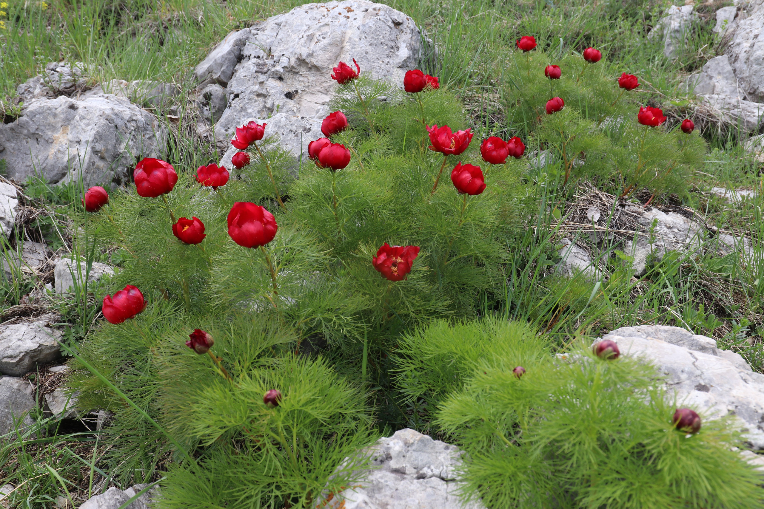 Крым. ЮБК (Бахчисарай, Демерджи, Судак). Первый скалолазный выезд. Май 2019. Путешественник-фотограф из Санкт-Петербурга Татьяна Свистулина