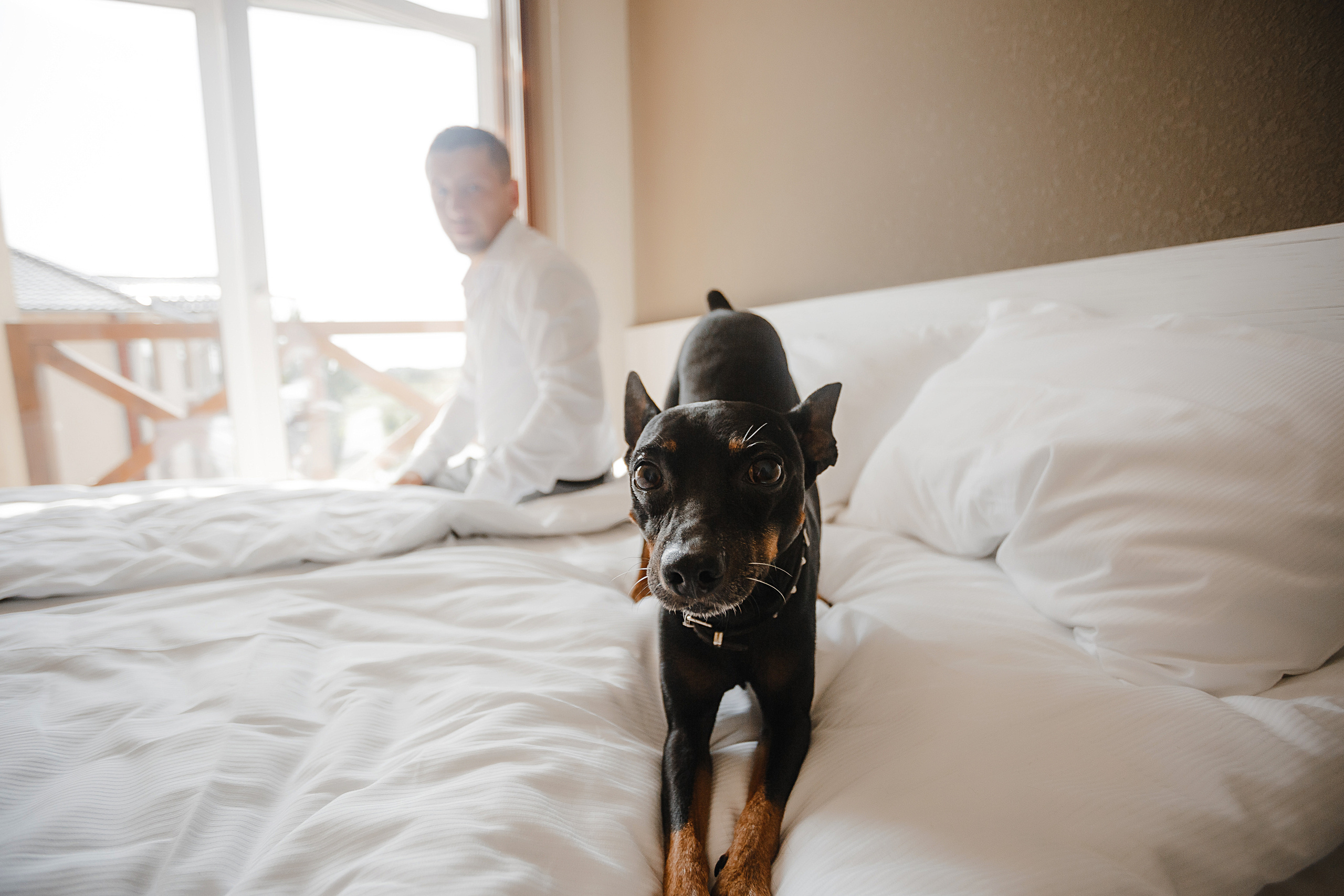 Алина и Сергей. Свадебный фотограф Калининград Пасюта Данила