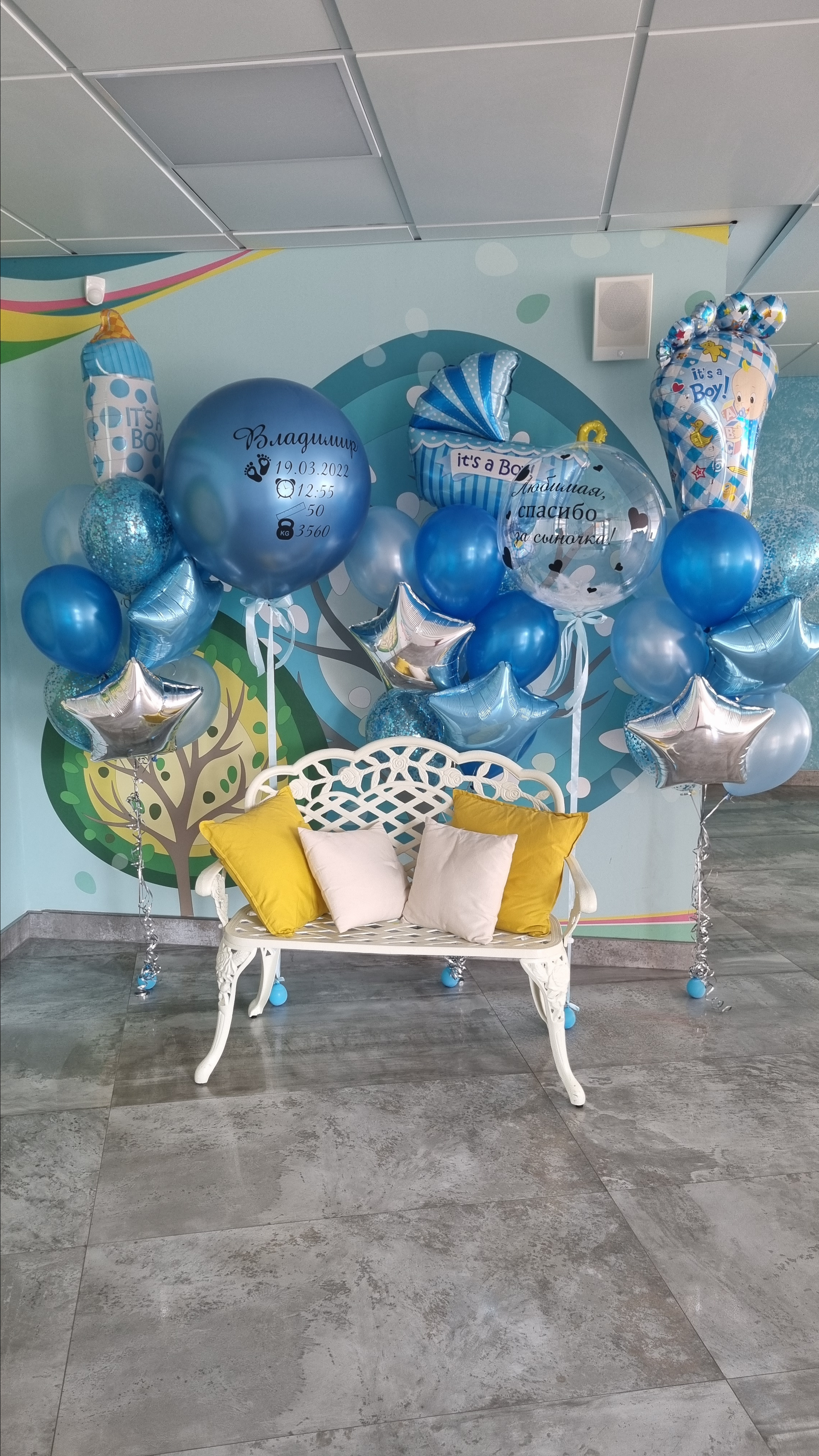 Фотограф в роддоме Сестрорецком г. Санкт-Петербург Банасиковская Ксения