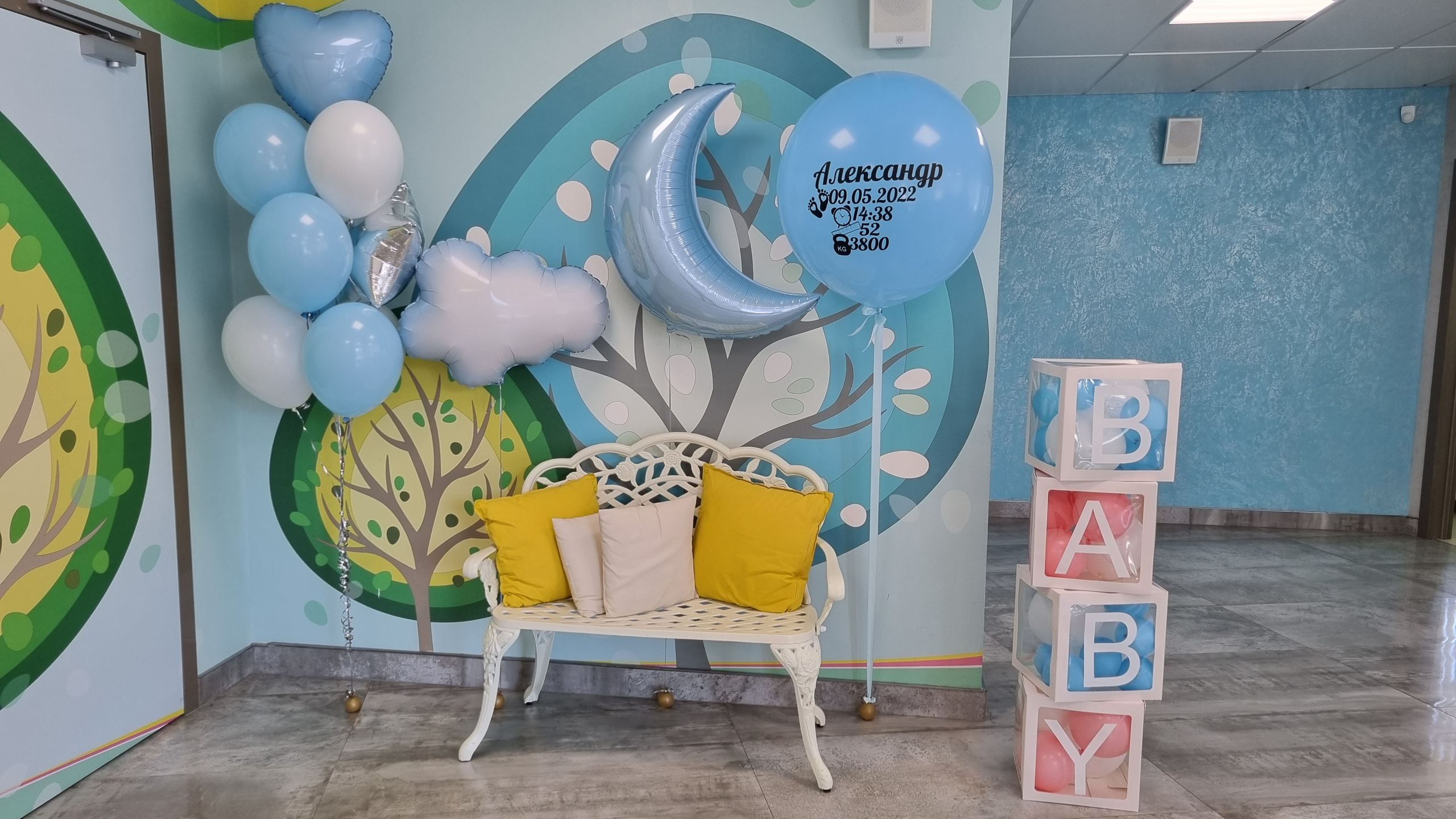 Фотограф в роддоме Сестрорецком г. Санкт-Петербург Банасиковская Ксения