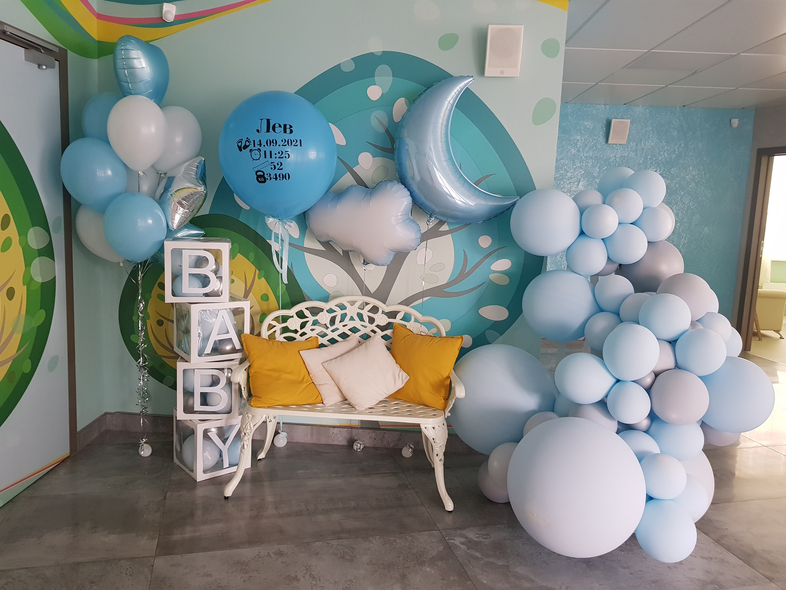 Фотограф в роддоме Сестрорецком г. Санкт-Петербург Банасиковская Ксения