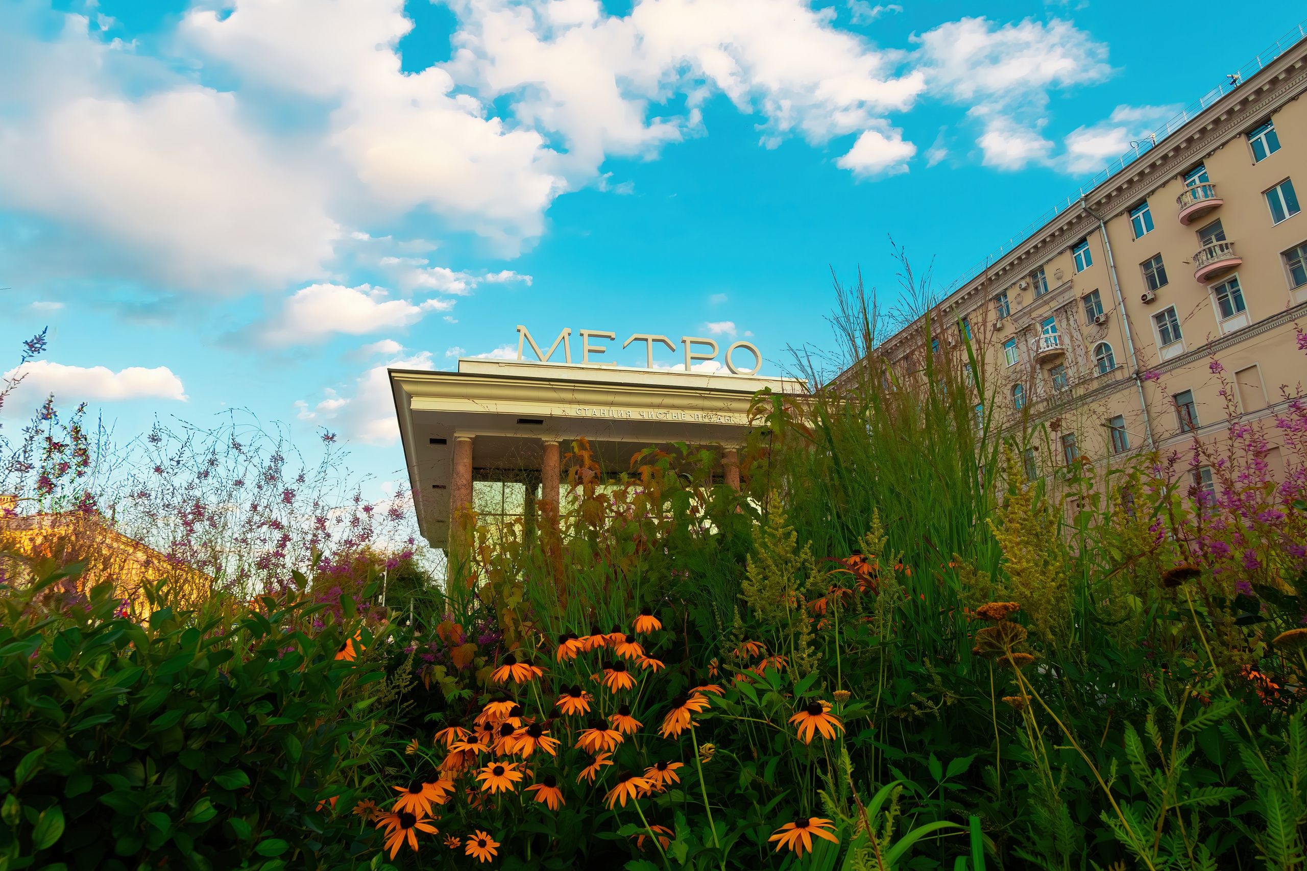 Подарочные сертификаты. Фотограф Илья Варакин