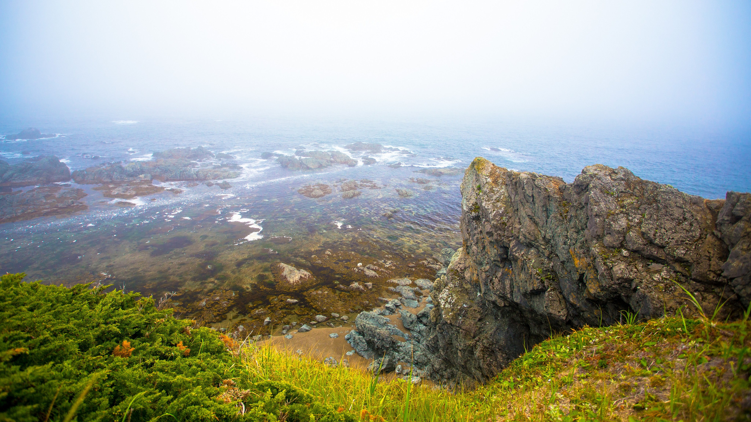О.Сахалин. Фотограф. г. Южно-Сахалинск. Олег Толстов