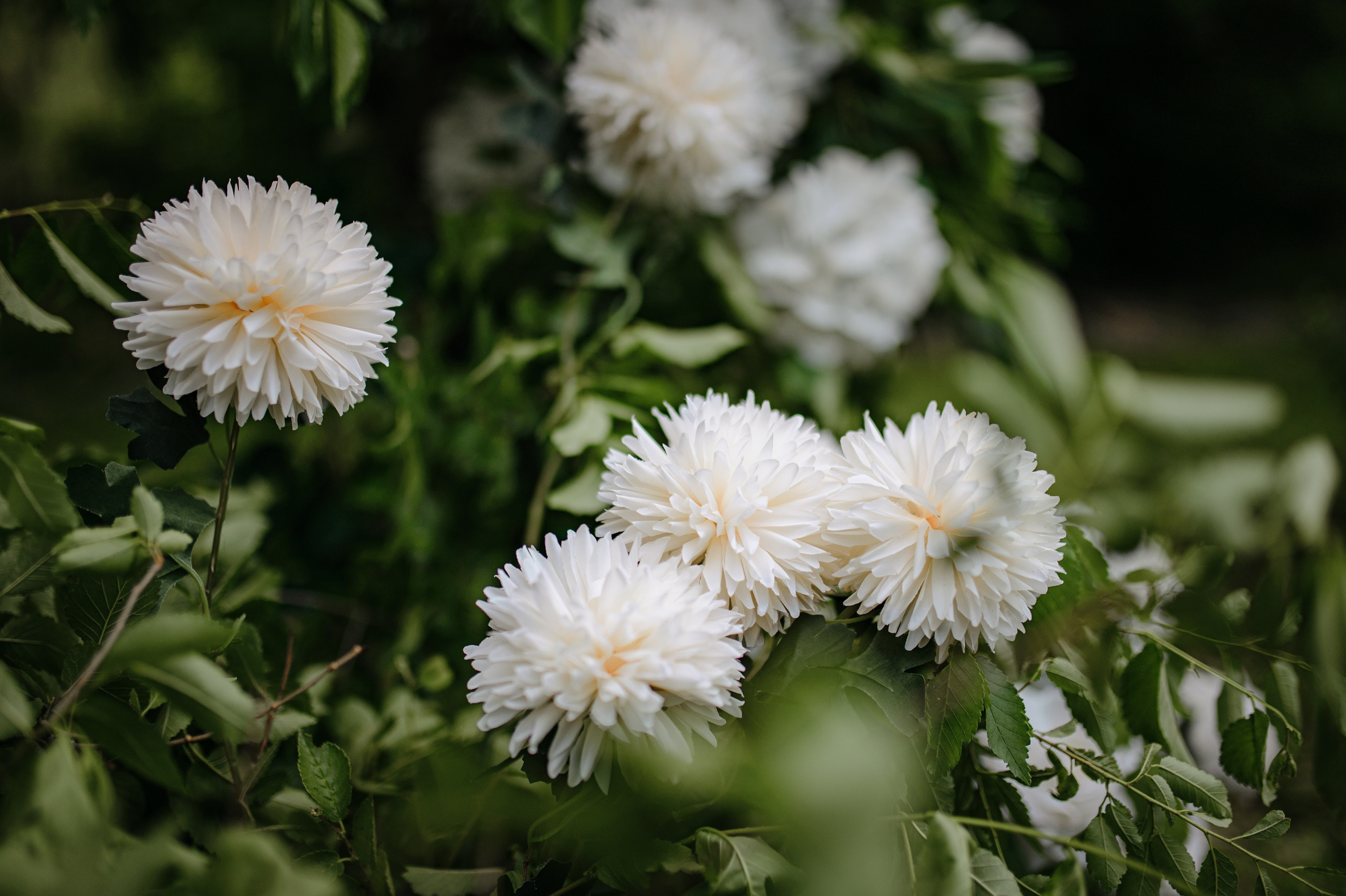 Съёмка свадебного декора. 100-й пруд. Свадебный фотограф Константинова Елена