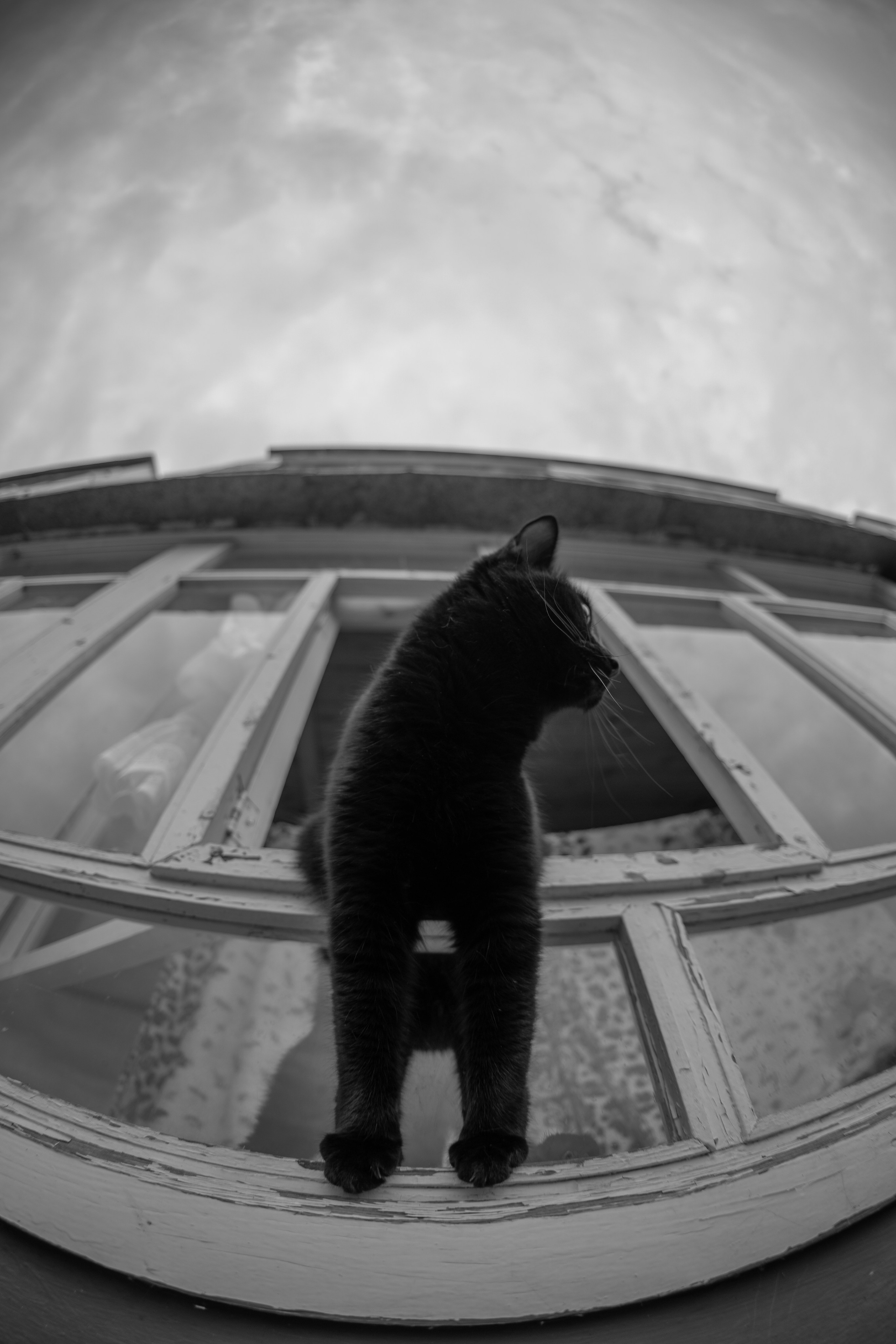 ЧЕРНО-БЕЛЫЕ ФОТОГРАФИИ. Никита Аничкин фото и видео оператор из России