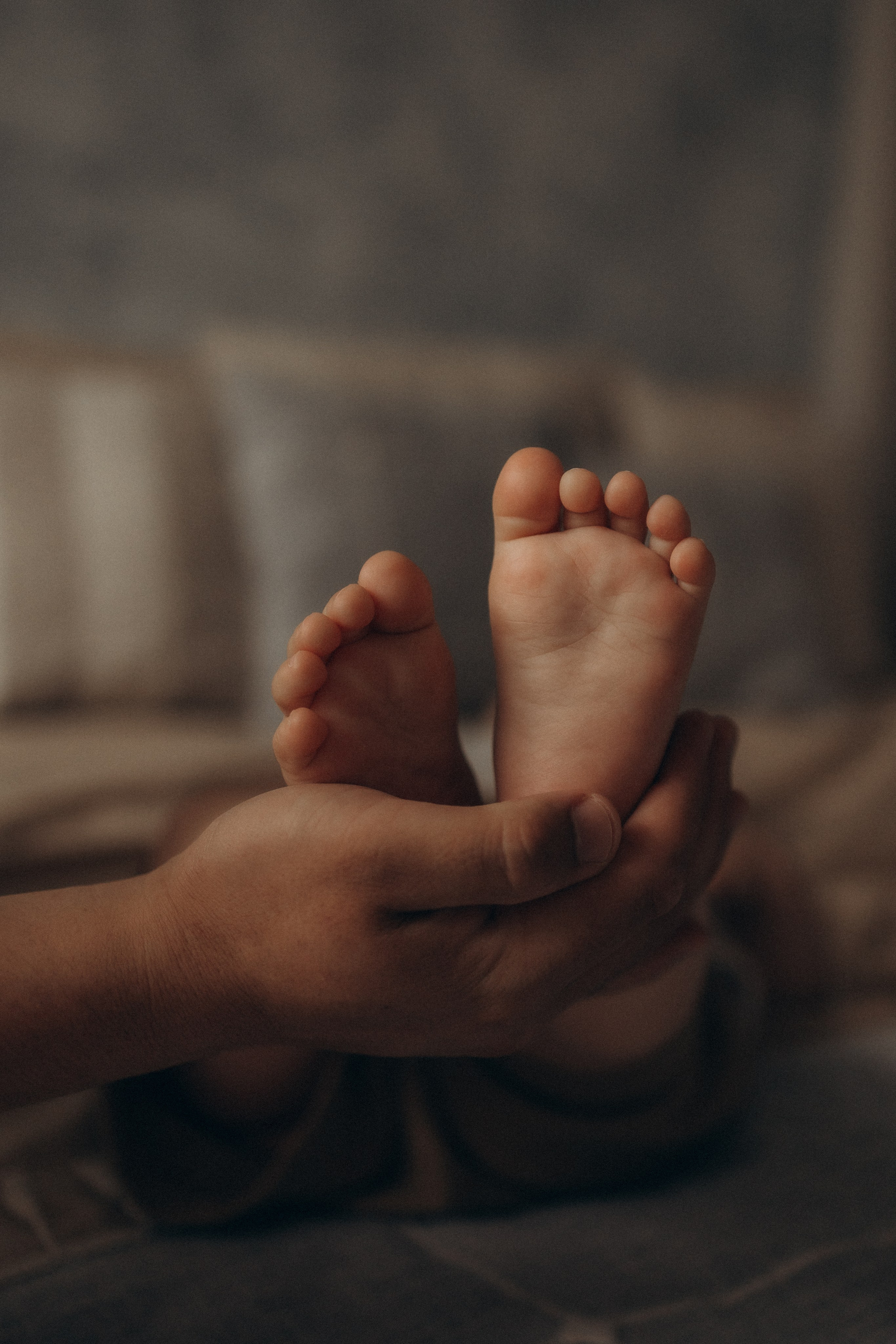 Алия: семейная в студии. Эльвира Галимьянова — семейный фотограф Екатеринбурга