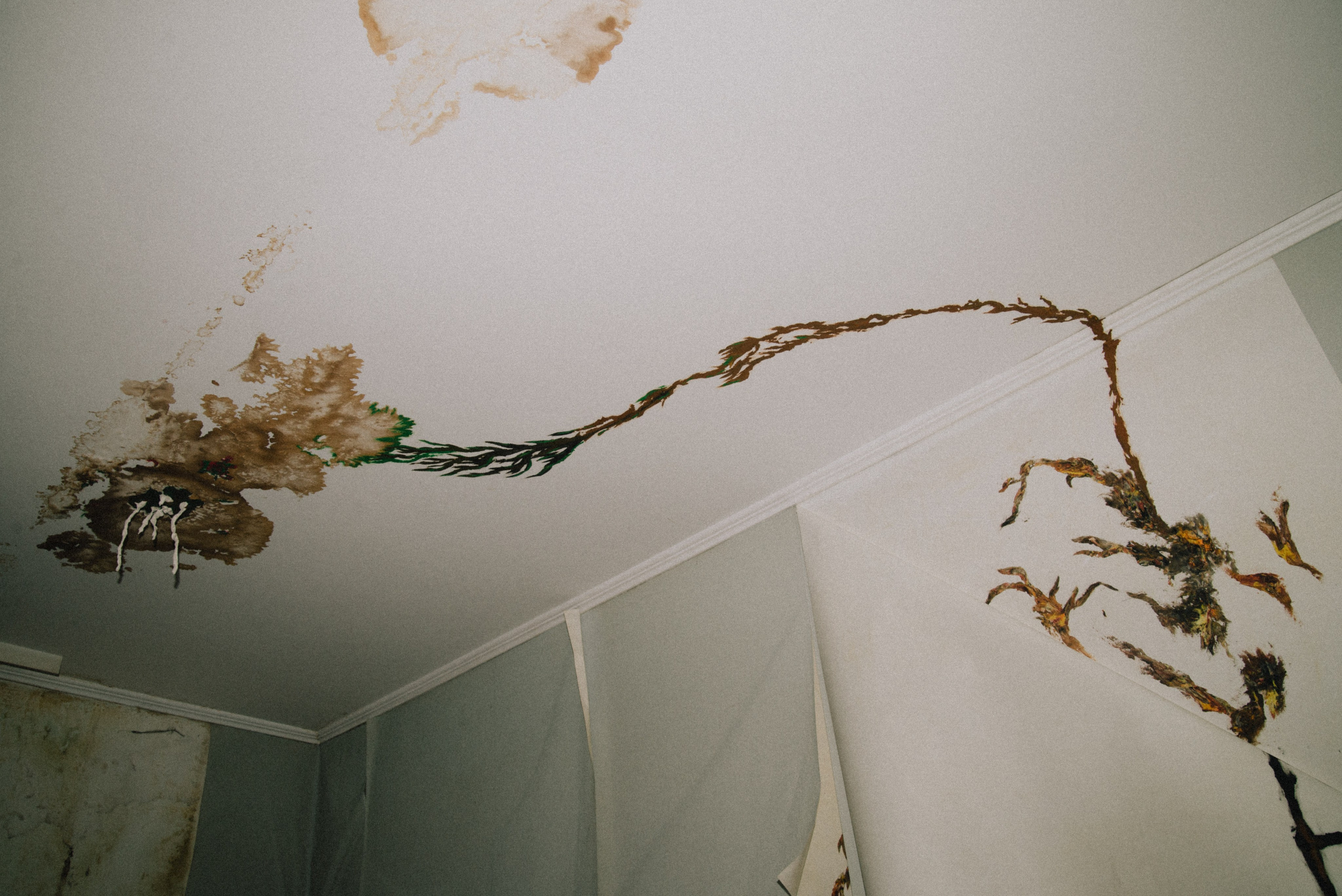 «консервируем без боли и сахара». Анастасия Калинина