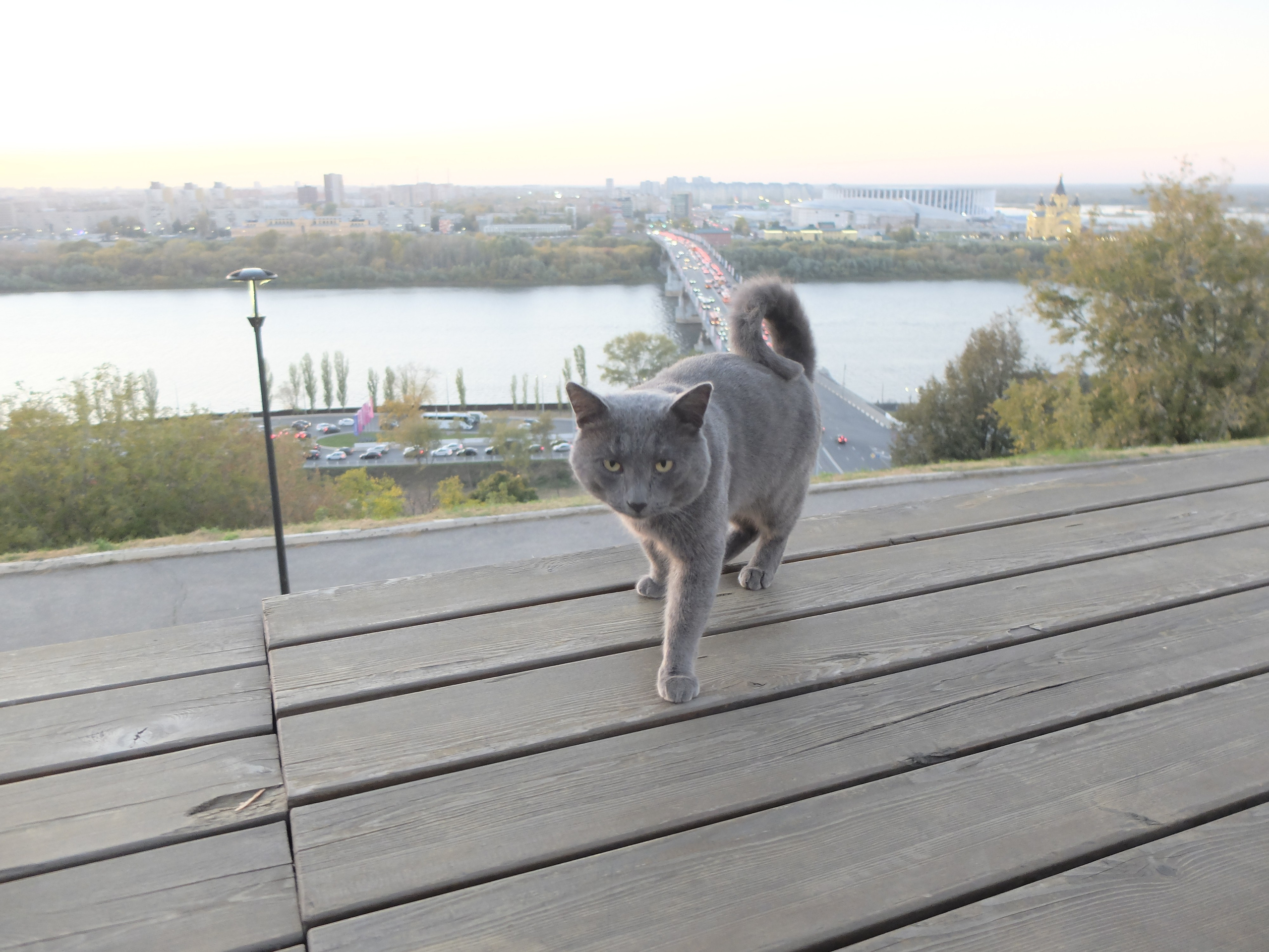Нижний Новгород. Фотографъ Сергѣевъ. Поймать мгновеніе