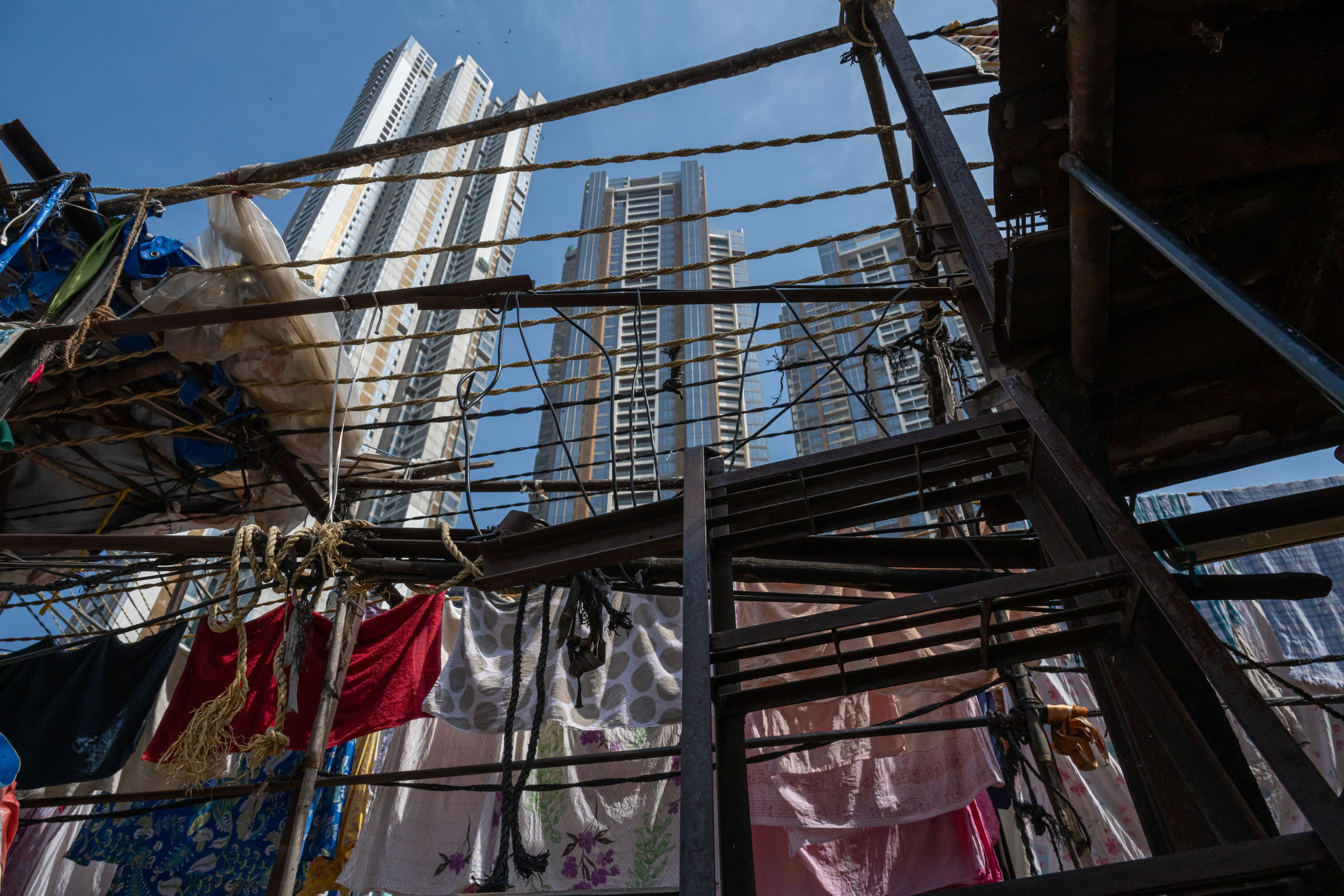 India 2024-2025. Dimitri Bakhtadze photographer