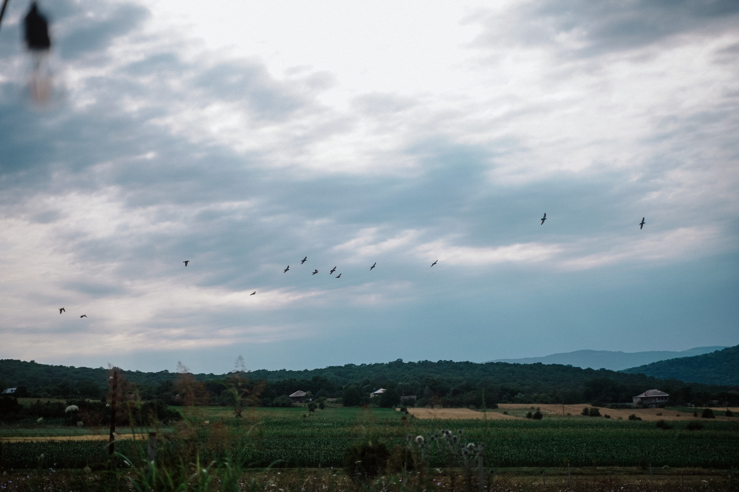 Тбилиси-на-Дону. Фотограф в Ростове-на-Дону и Краснодаре Роман Кудрявцев