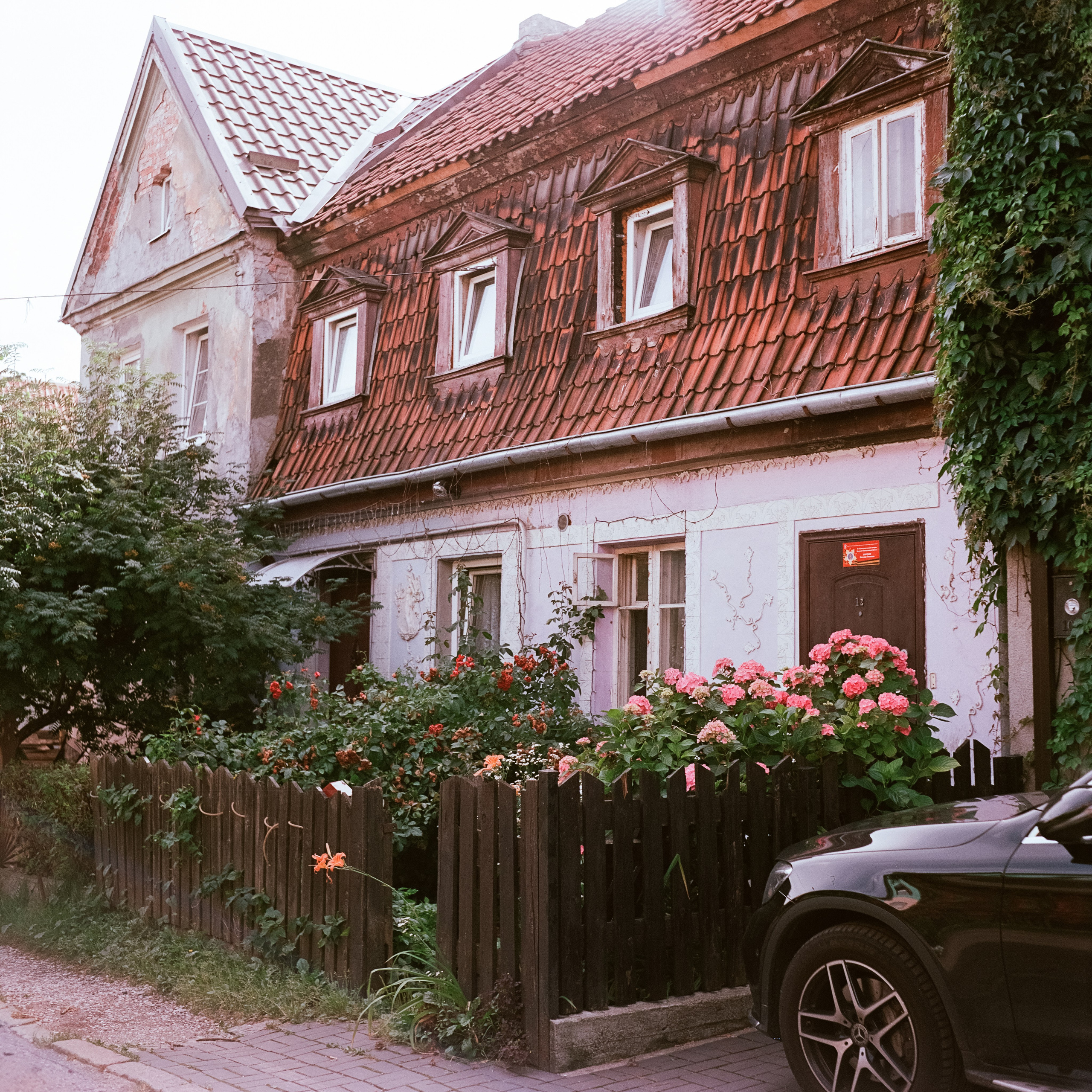 Калининград 1 июля Ремонтная ул., Каштановая ул. / Super Fujica-6