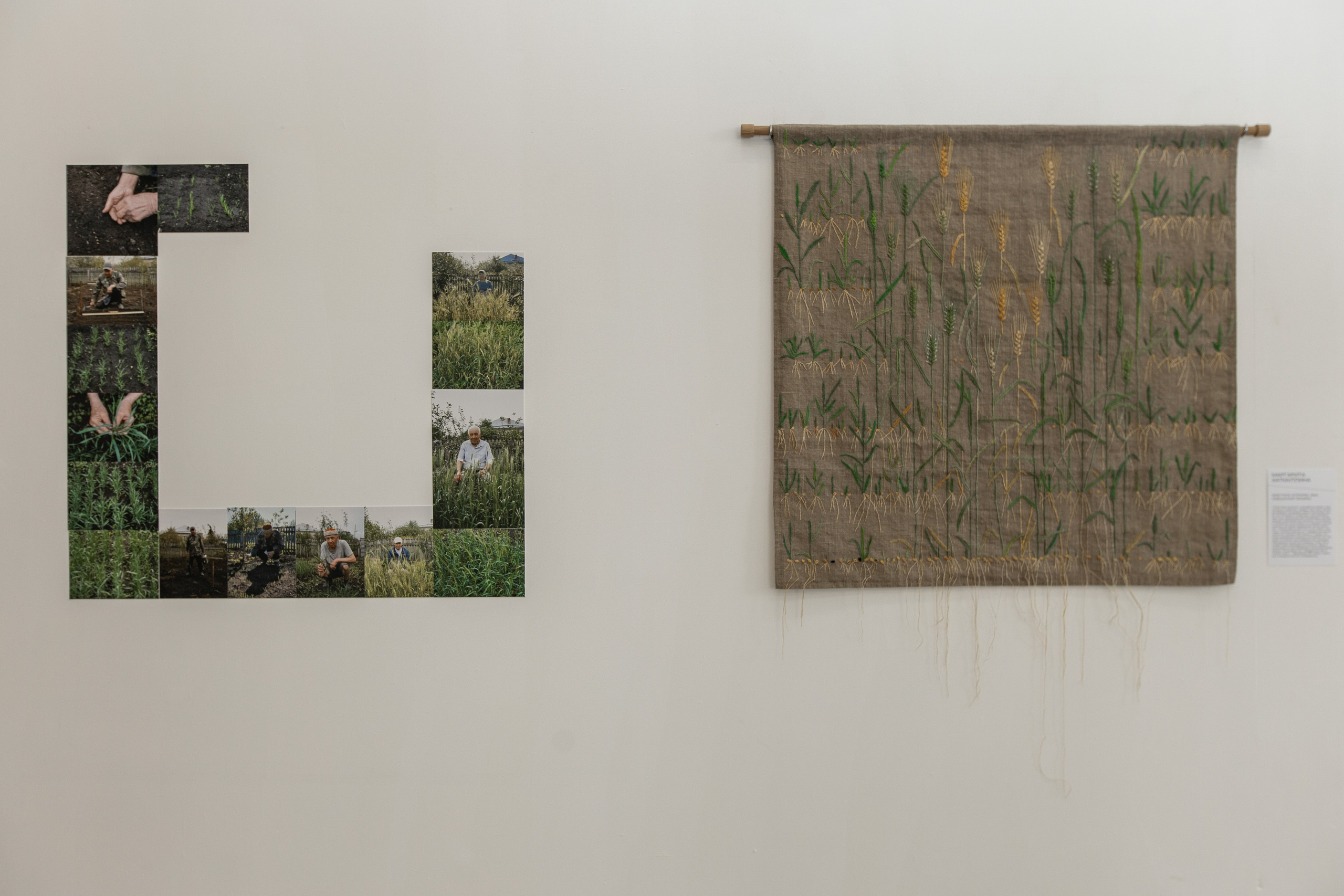 Полотно. Margarita Khatmullina