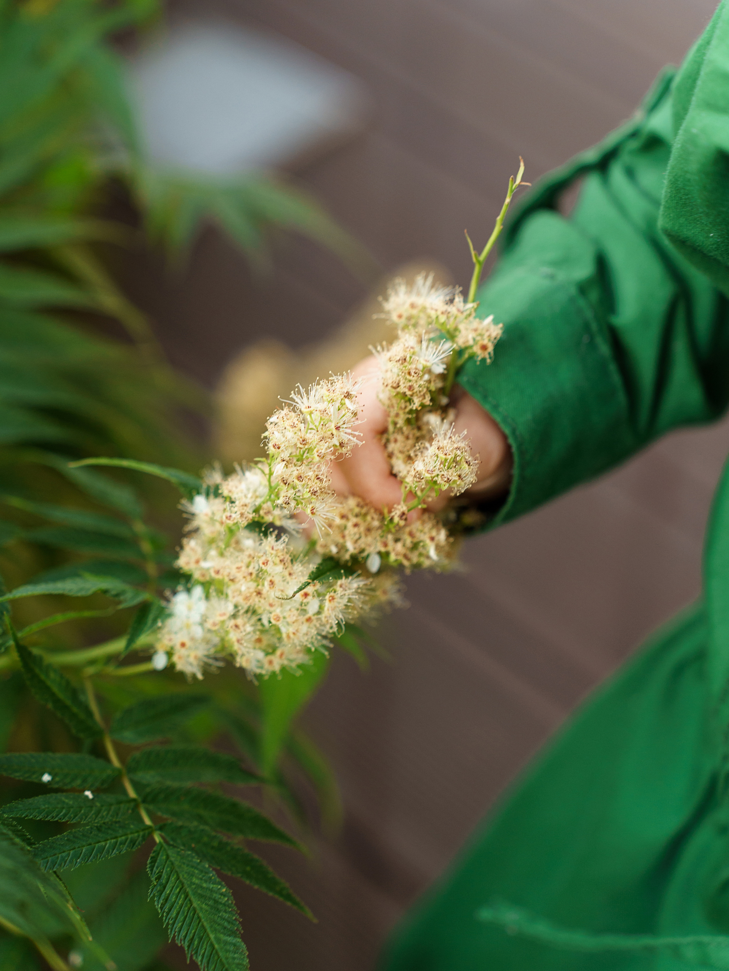 Николь. Елена Симонова