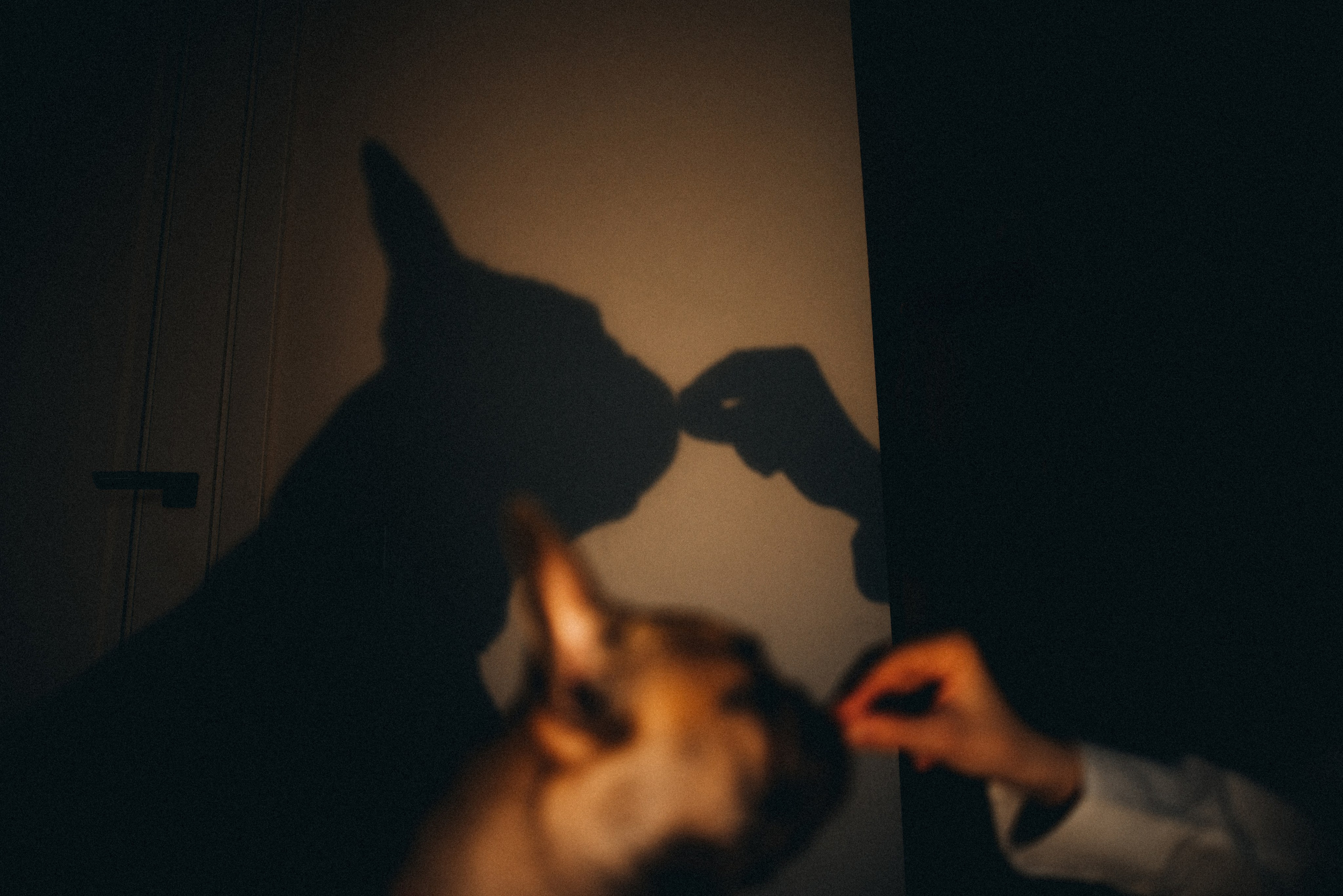 Юля, Мия и Зек