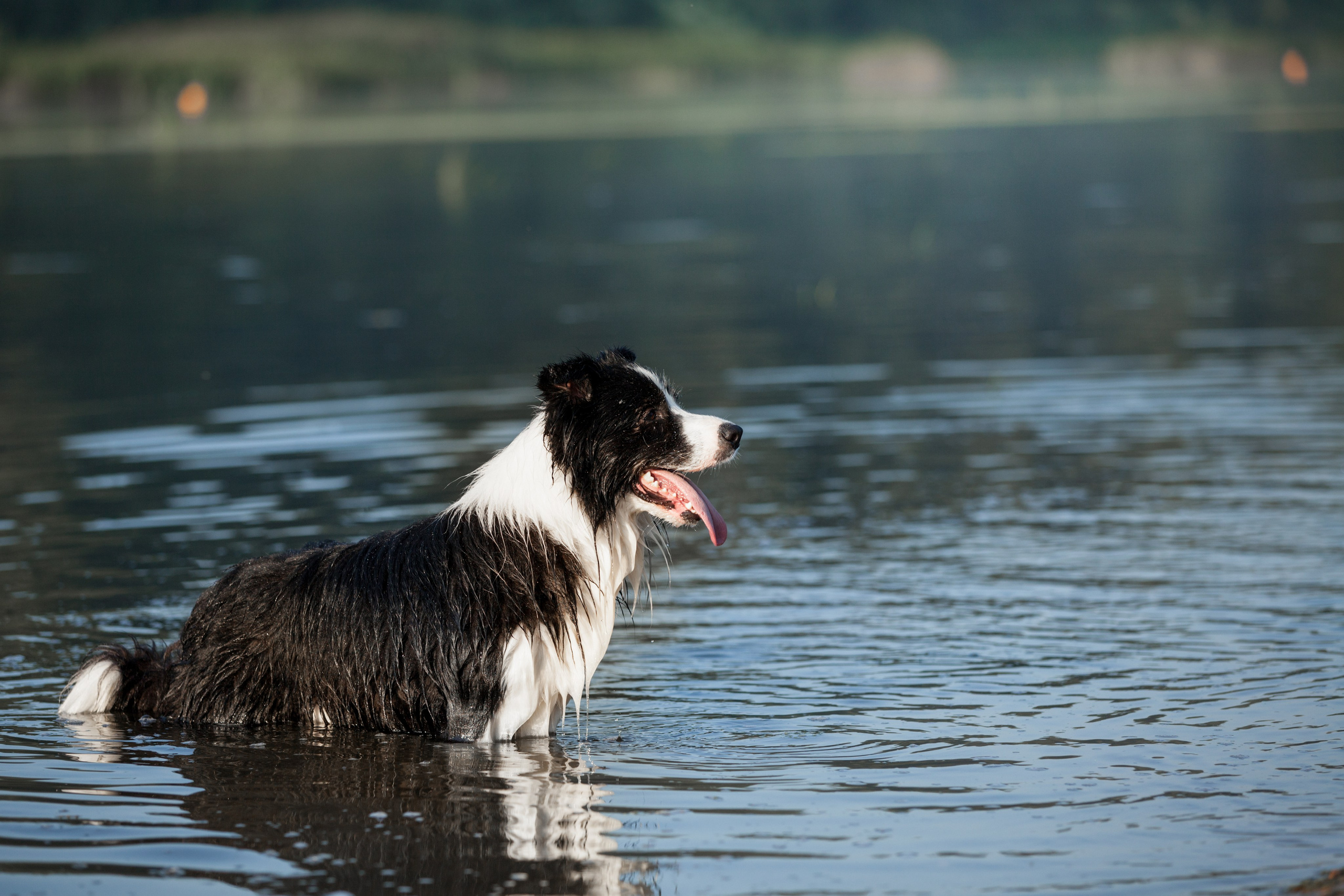 Сочный рассвет, на который решились. О нас