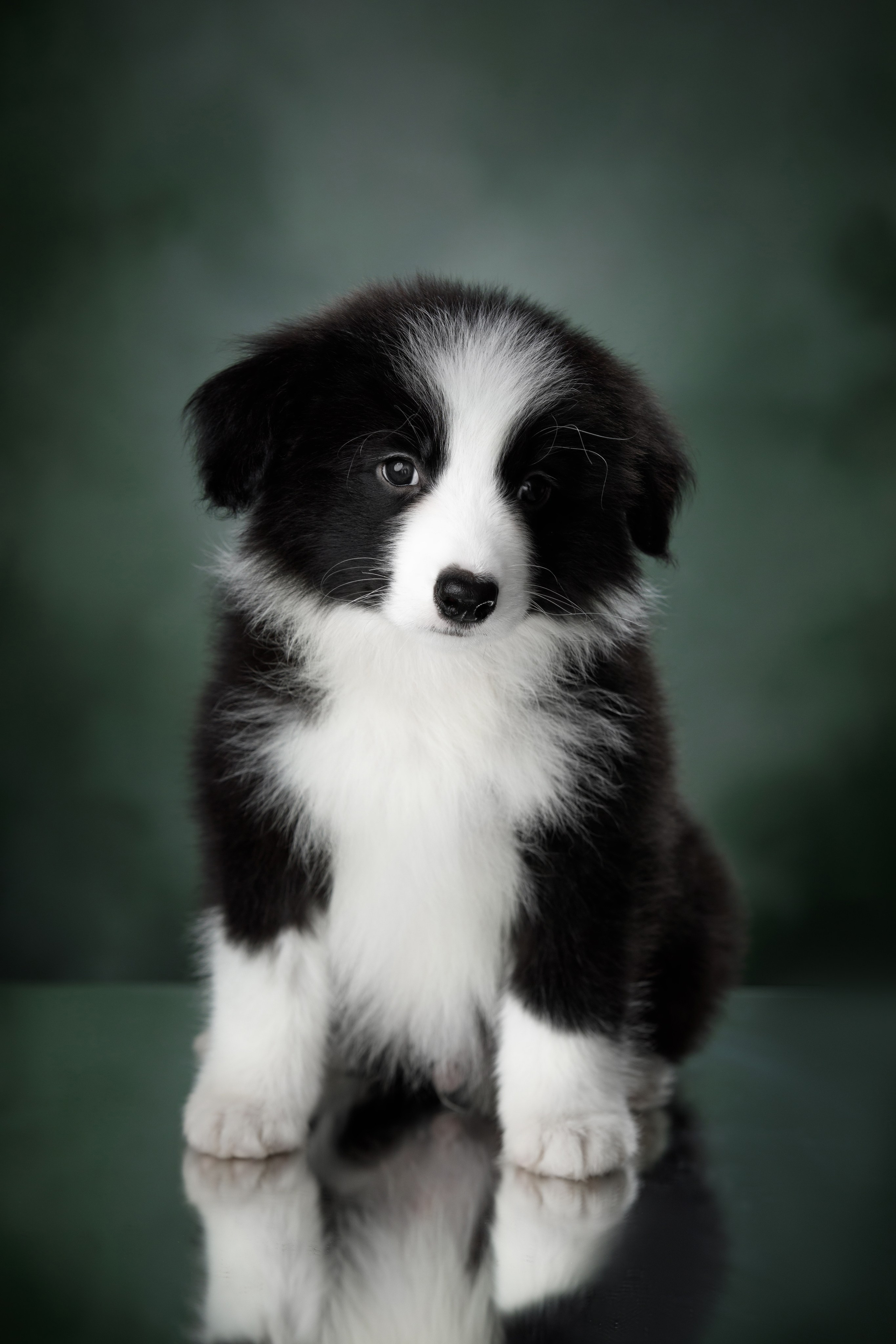 Март. Весна. 22. О нас