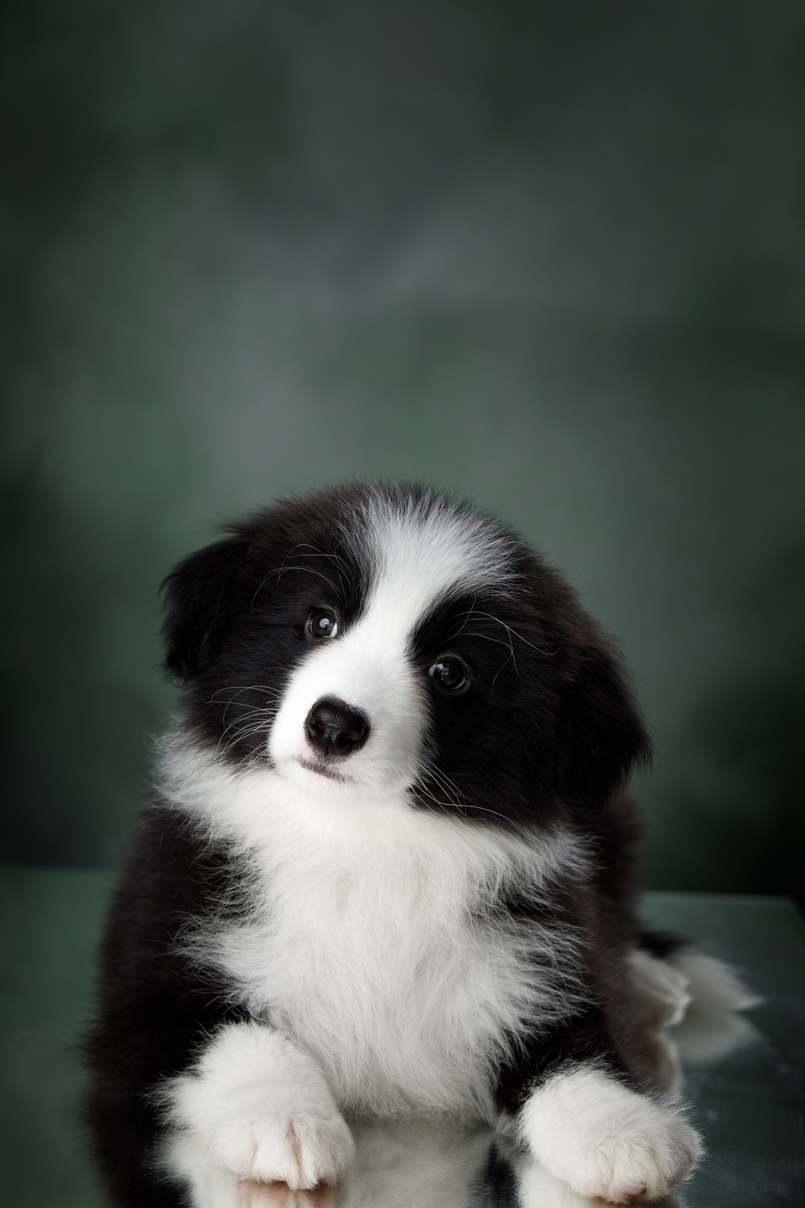 Март. Весна. 22. О нас