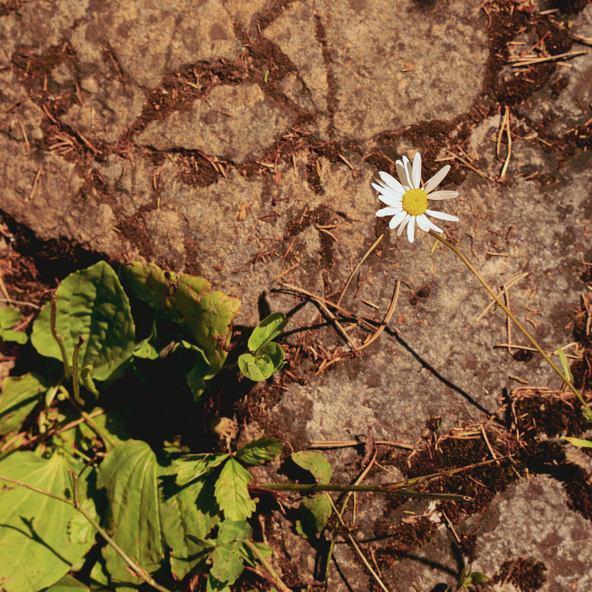 Summer hike. Фотограф/дизайнер в Екатеринбурге Хитрый Дмитрий