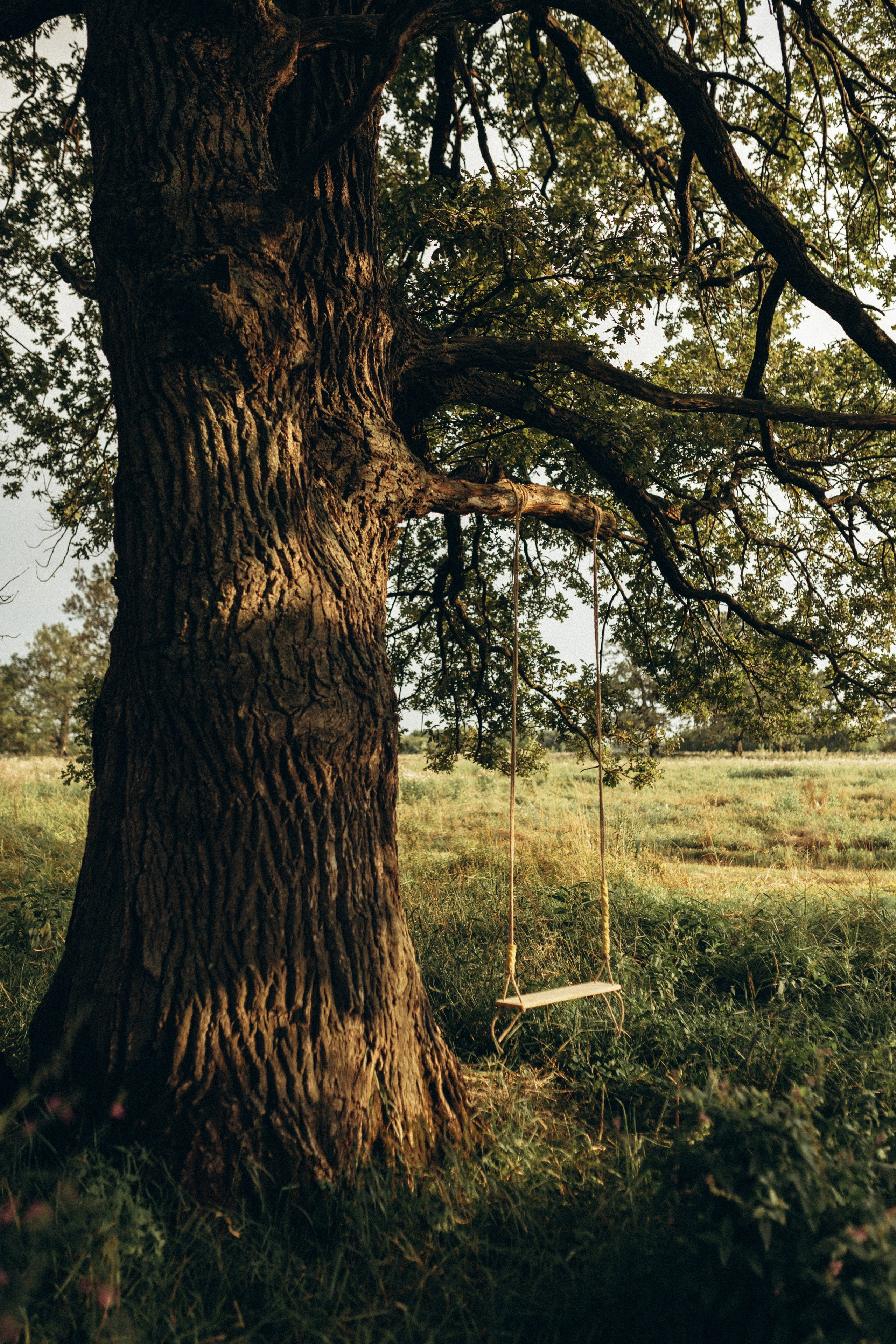 1 годик Саше. Семейный и детский фотограф в Рязани Екатерина Воронцова