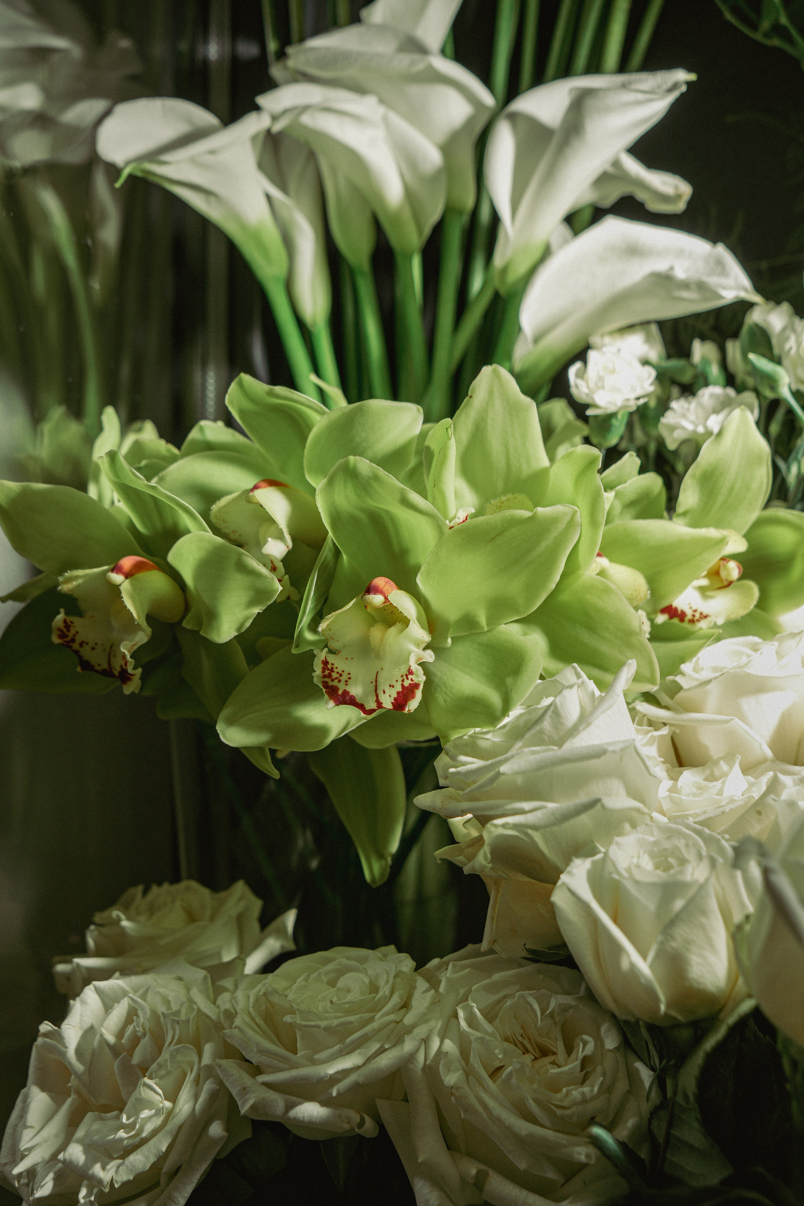 Коммерческая съёмка. Фото и видеосъемка КМВ — свадьбы, недвижимость, меню, туры. Пятигорск, Кисловодск