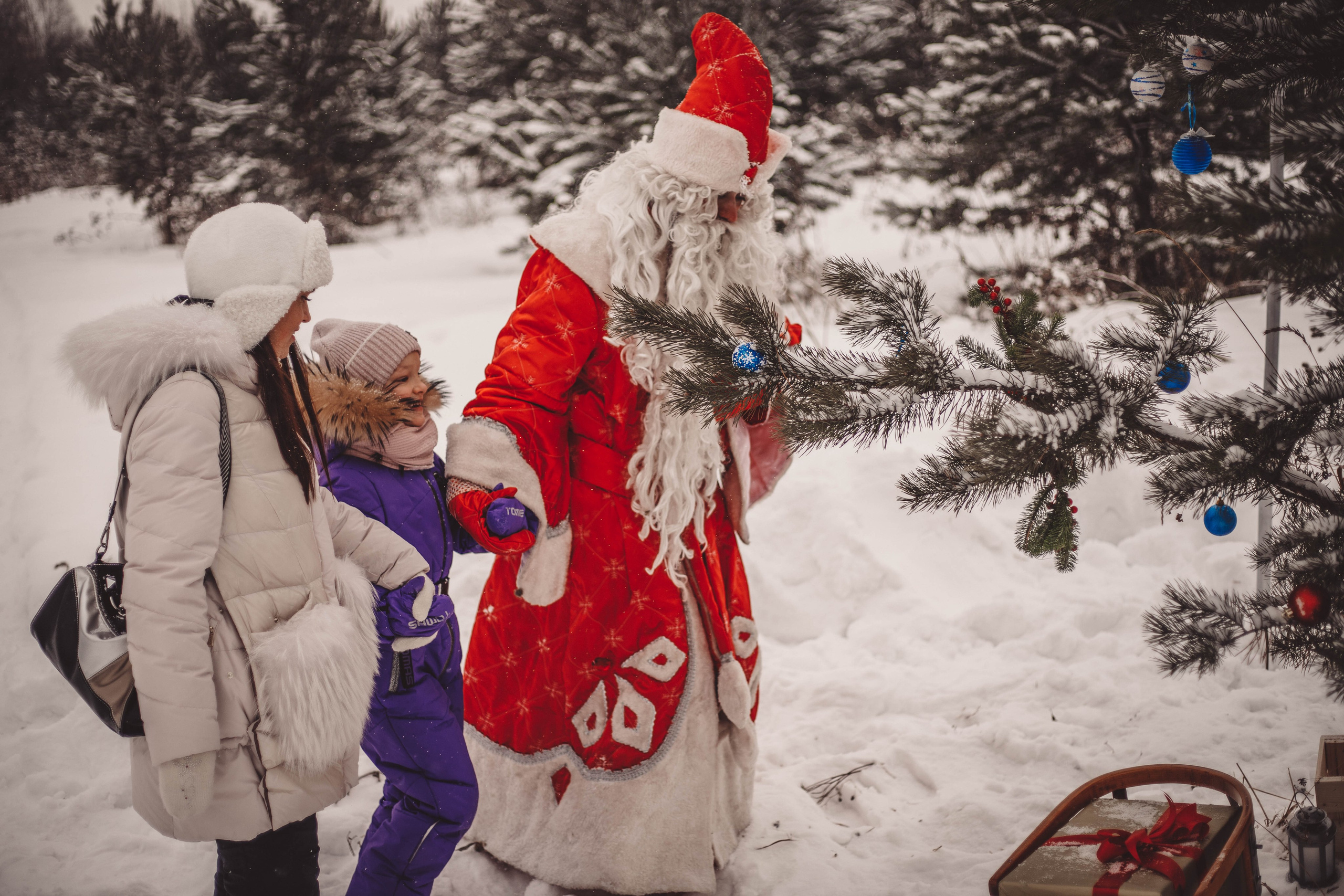Фотопроект - Волшебная встреча с Дедом Морозом. Семейный и женский фотограф Кемерово Мария Степ