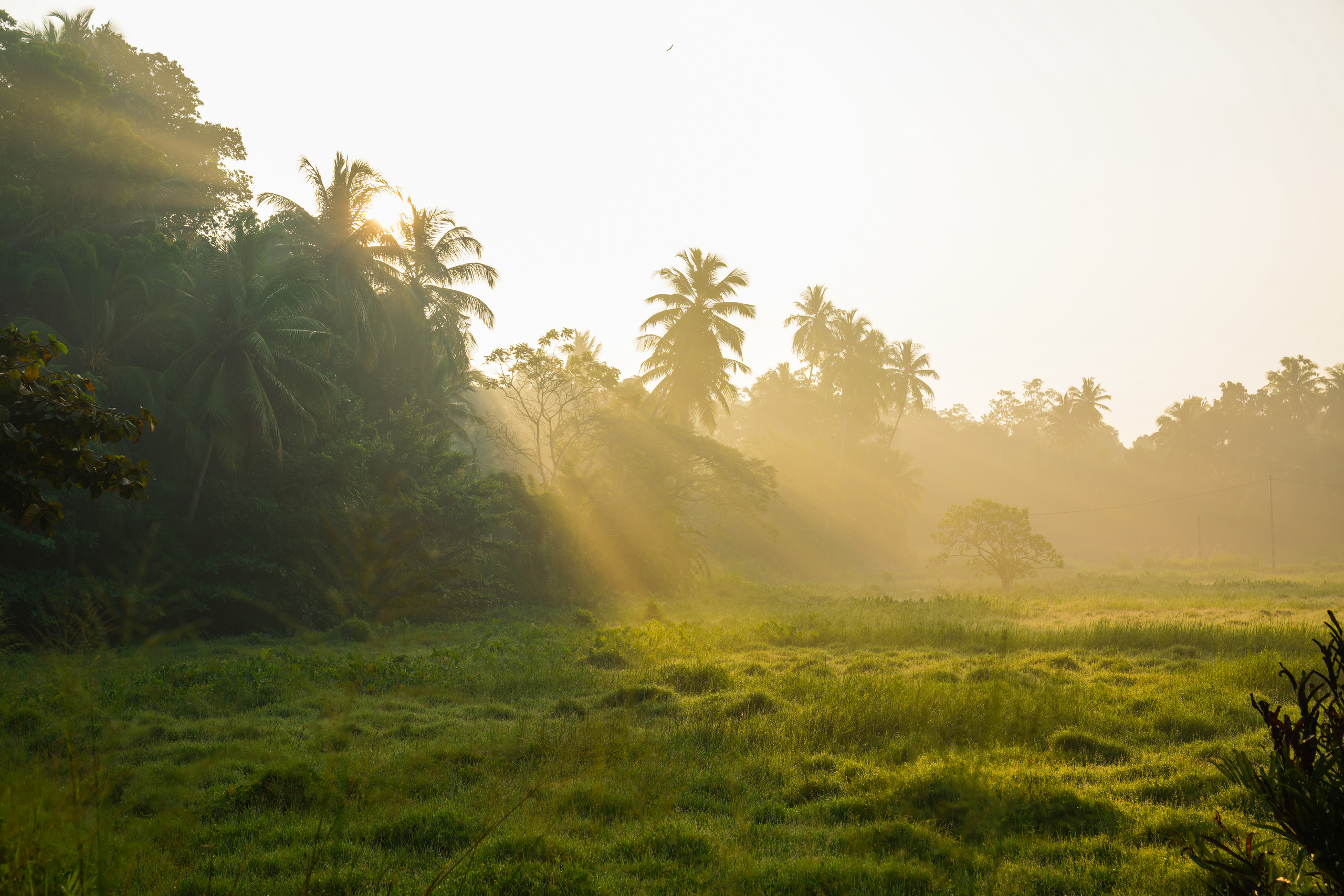 Природа, пейзажи, закаты, рассветы. Фотограф Сергей Кишкель Дананг Нячанг Фукуок
