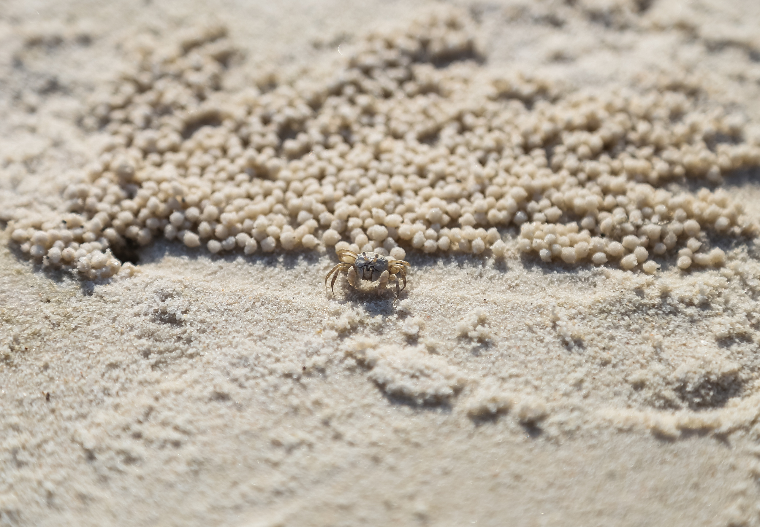 Остров Фукуок, Вьетнам. Фотограф Сергей Кишкель Дананг Нячанг Фукуок