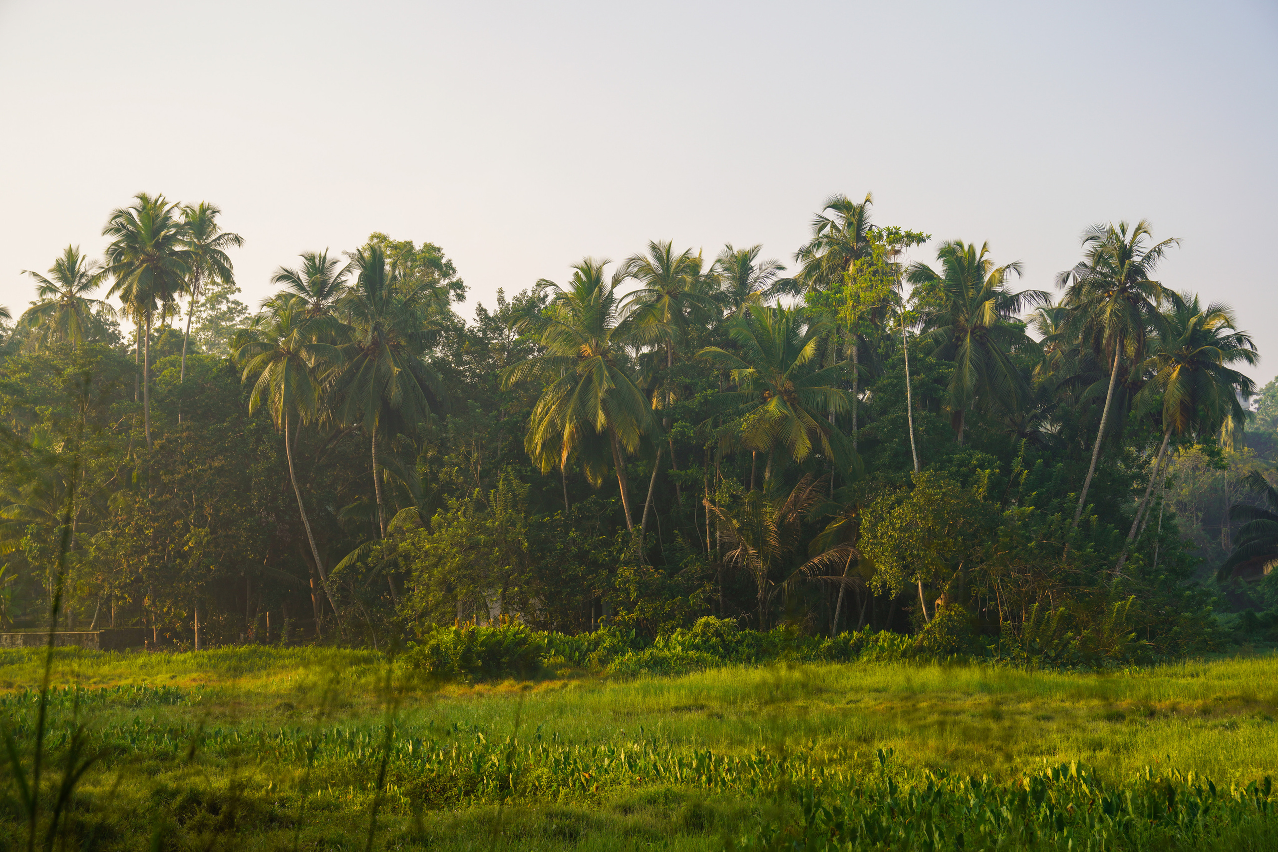 Природа, пейзажи, закаты, рассветы. Фотограф Сергей Кишкель Дананг Нячанг Фукуок