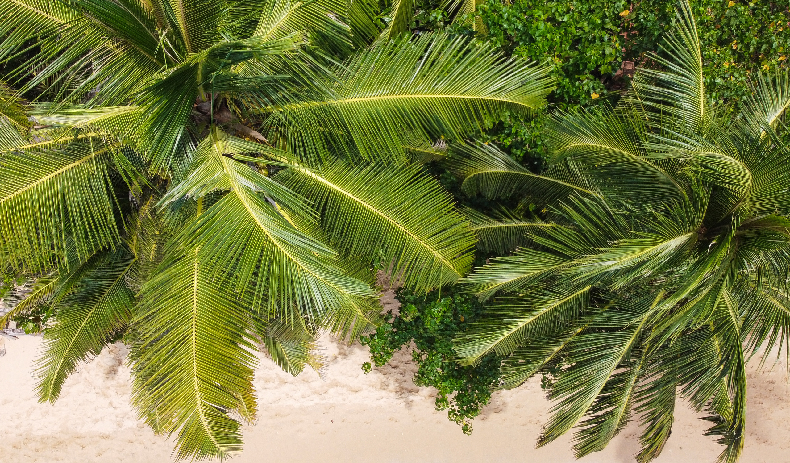 Съемка с дрона. Фотограф Сергей Кишкель Дананг Нячанг Фукуок